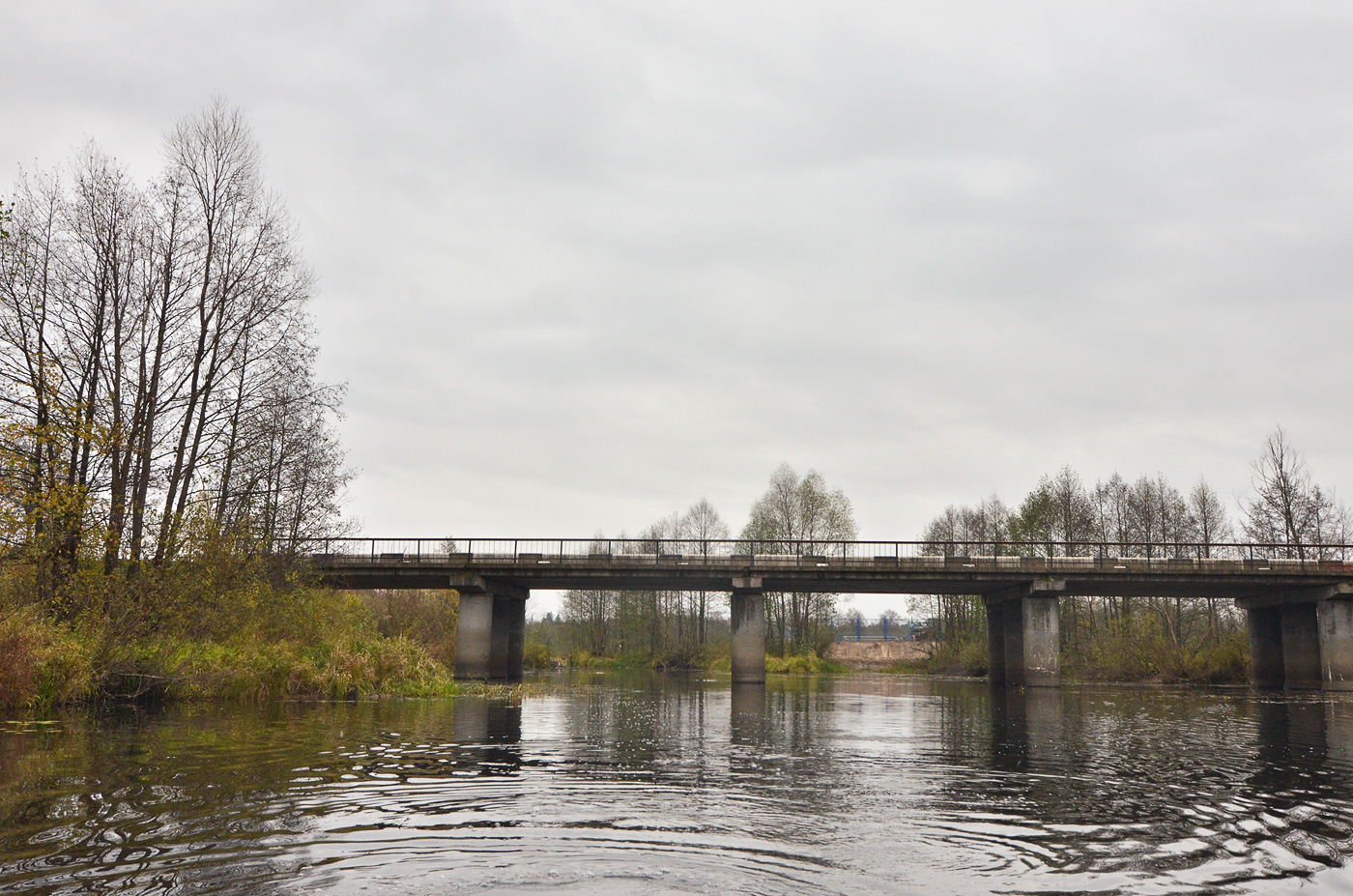 Речка сережа. Мост в Кожино Арзамас. Мост через реку Сережа Нижегородская область Арзамасский район.