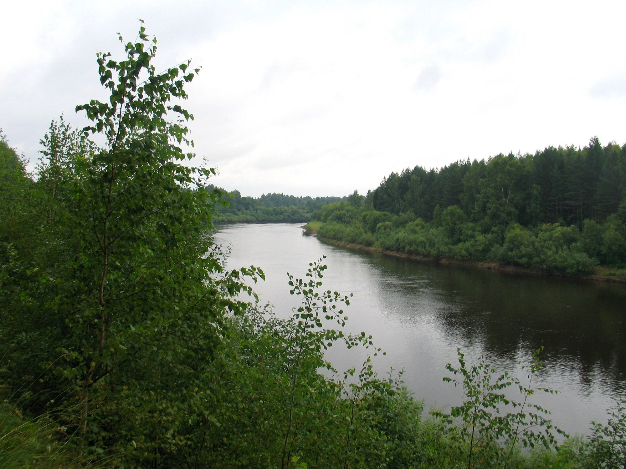 Река Ветлуга Шарьинский район