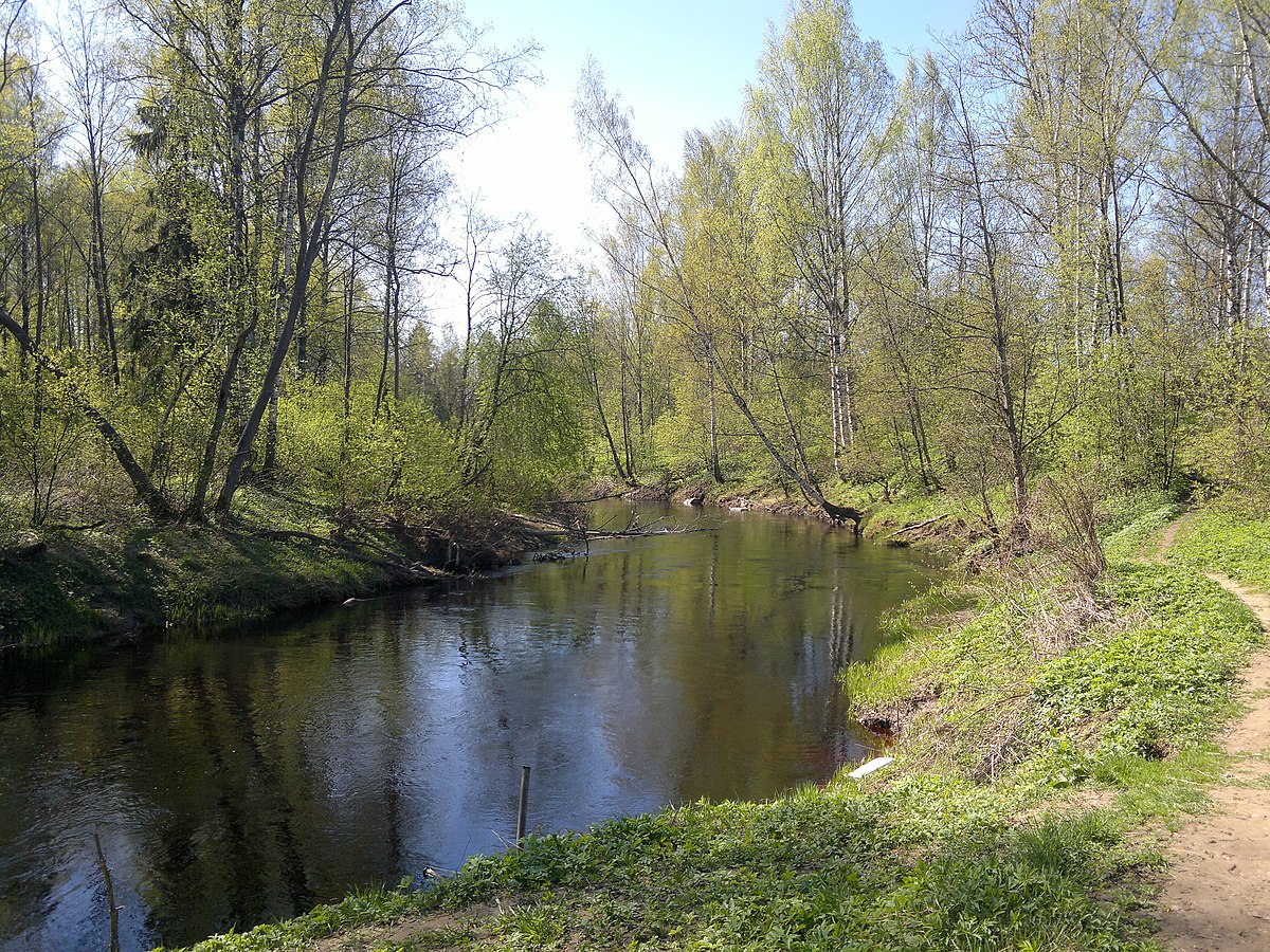 Река Мга Турышкино