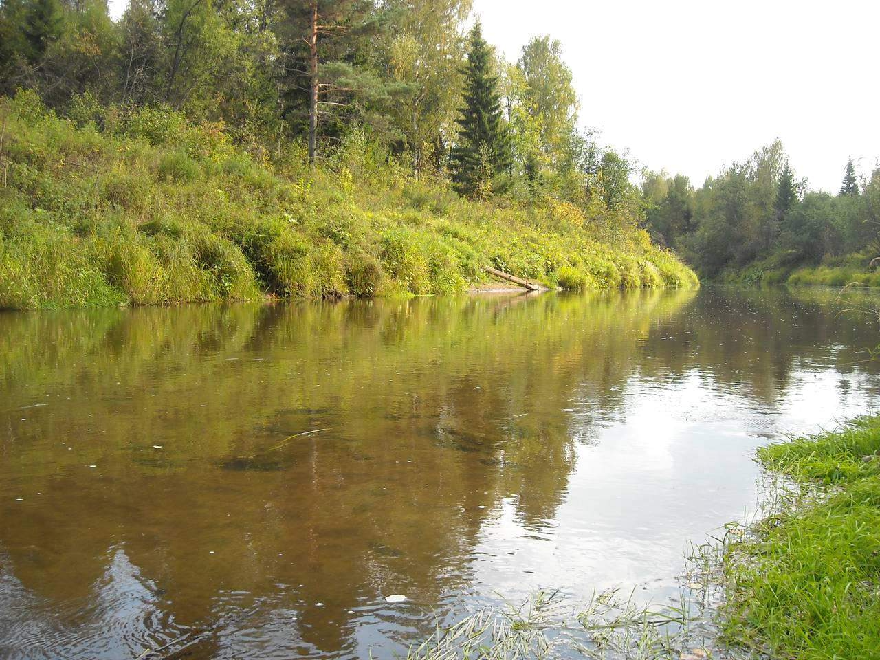 Притоки реки Кильмезь