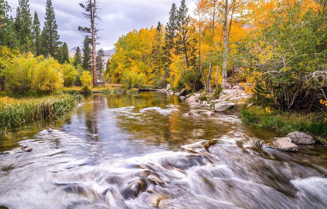 Золотая река слушать. Осень река. Река осенью. Осень на реке фото. Картинки Золотая река.