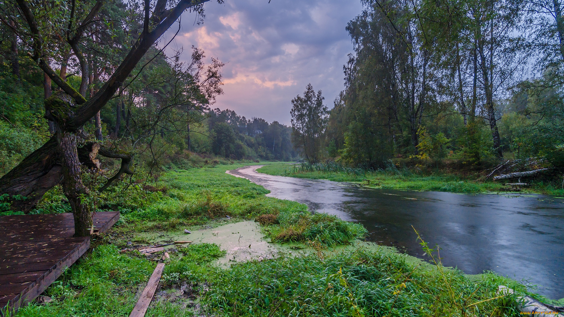 Река пекша владимирская область фото