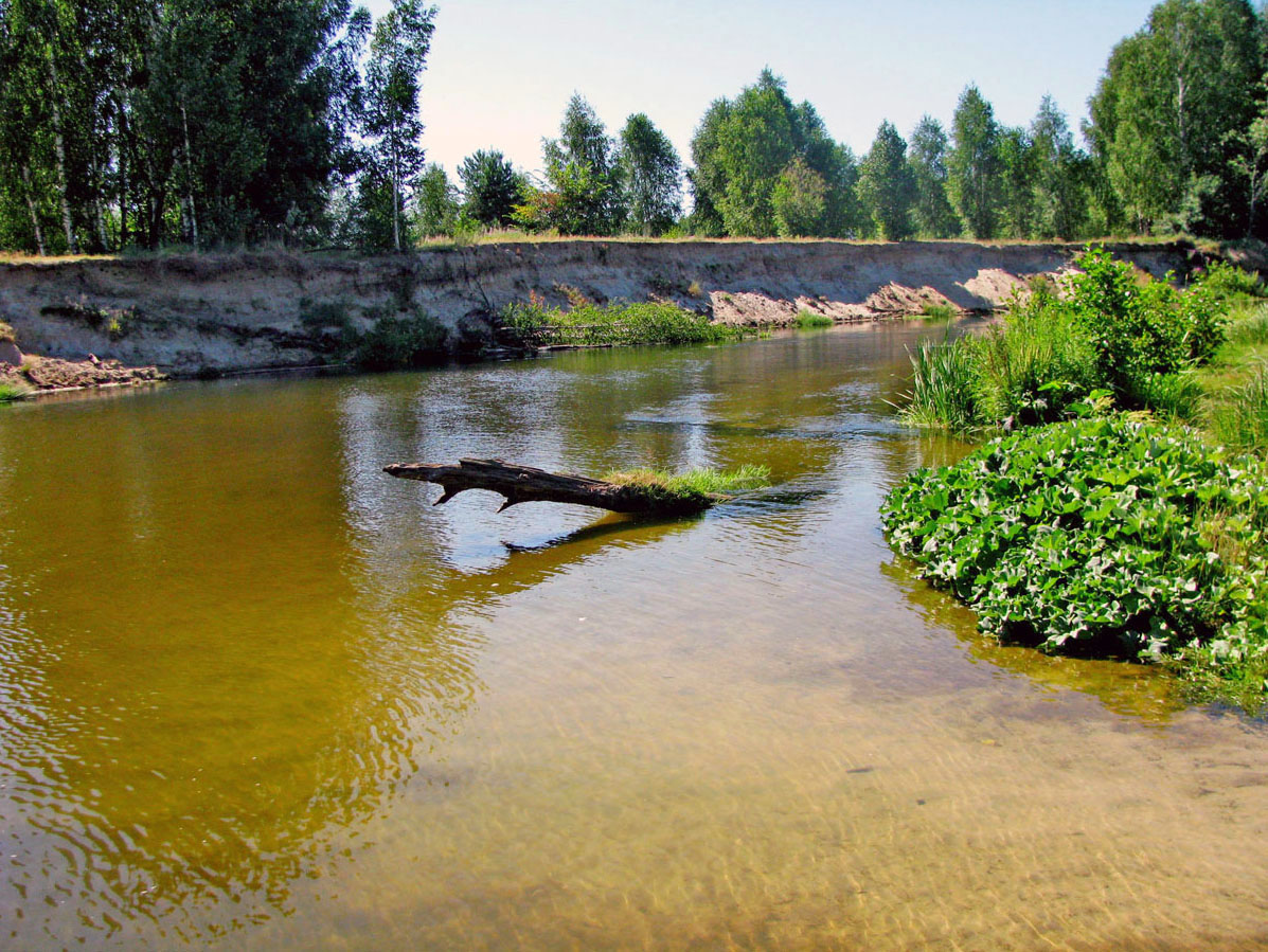 Река Узола Ковернинский район