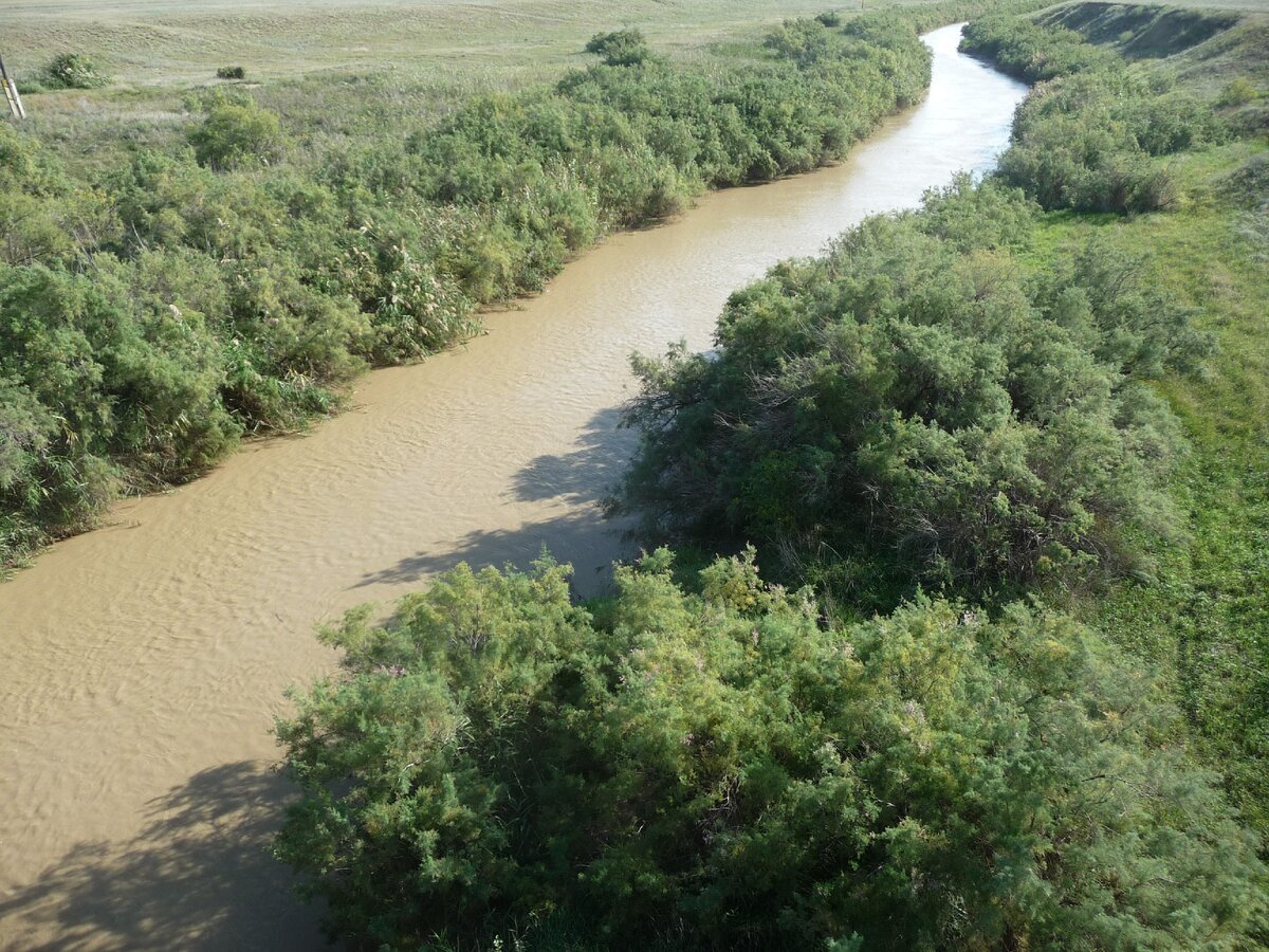 Река джалга