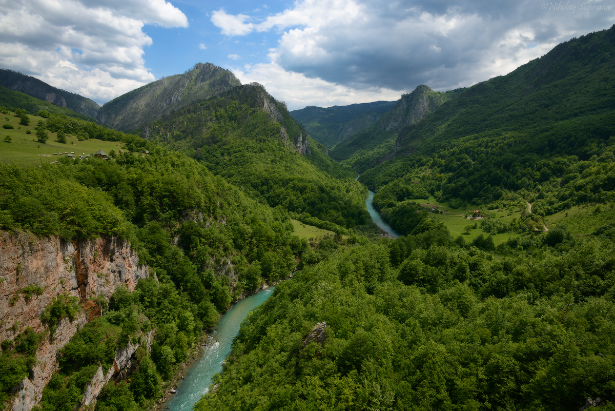 Река тара в парке Дурмитор, Черногория