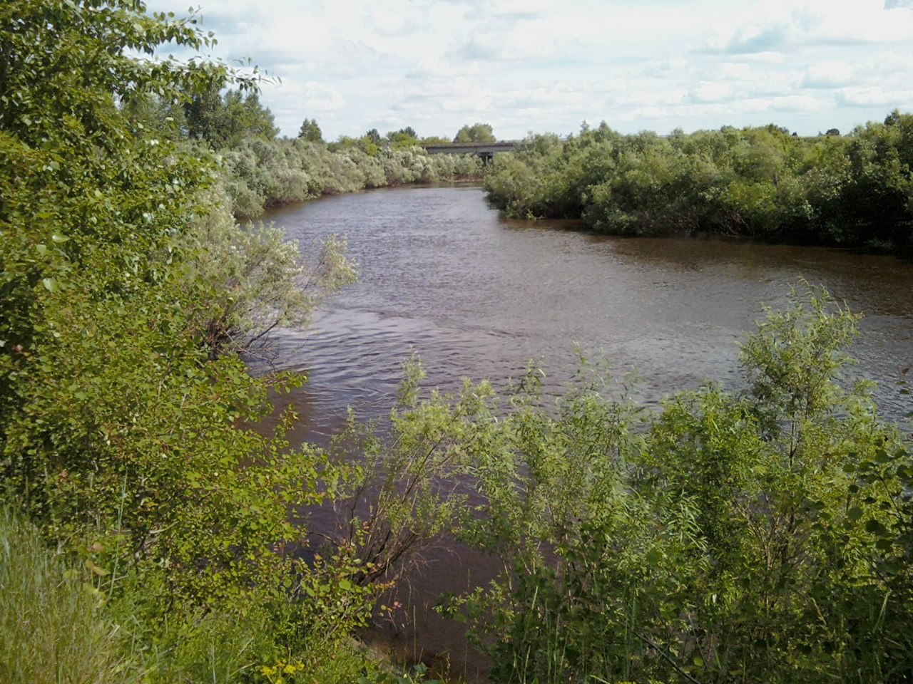 река омь омская область