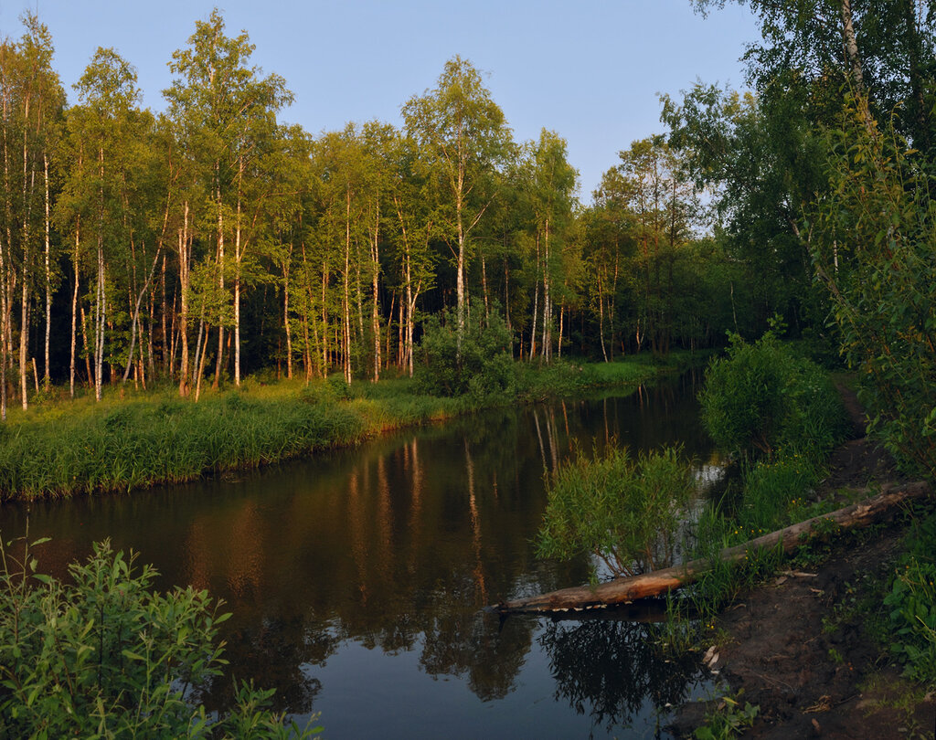 Река лосиха Алтайский край