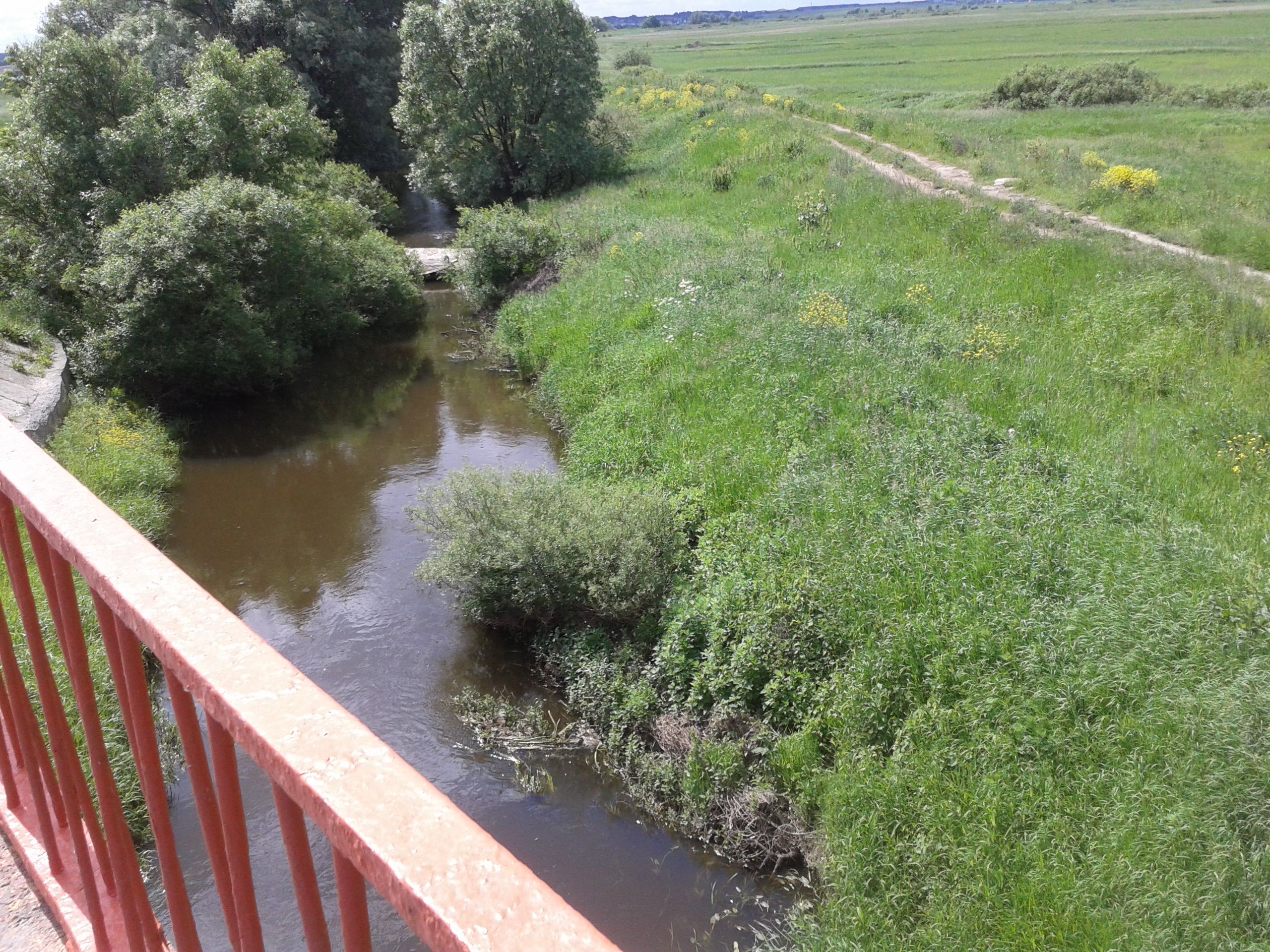 река дорка раменский район