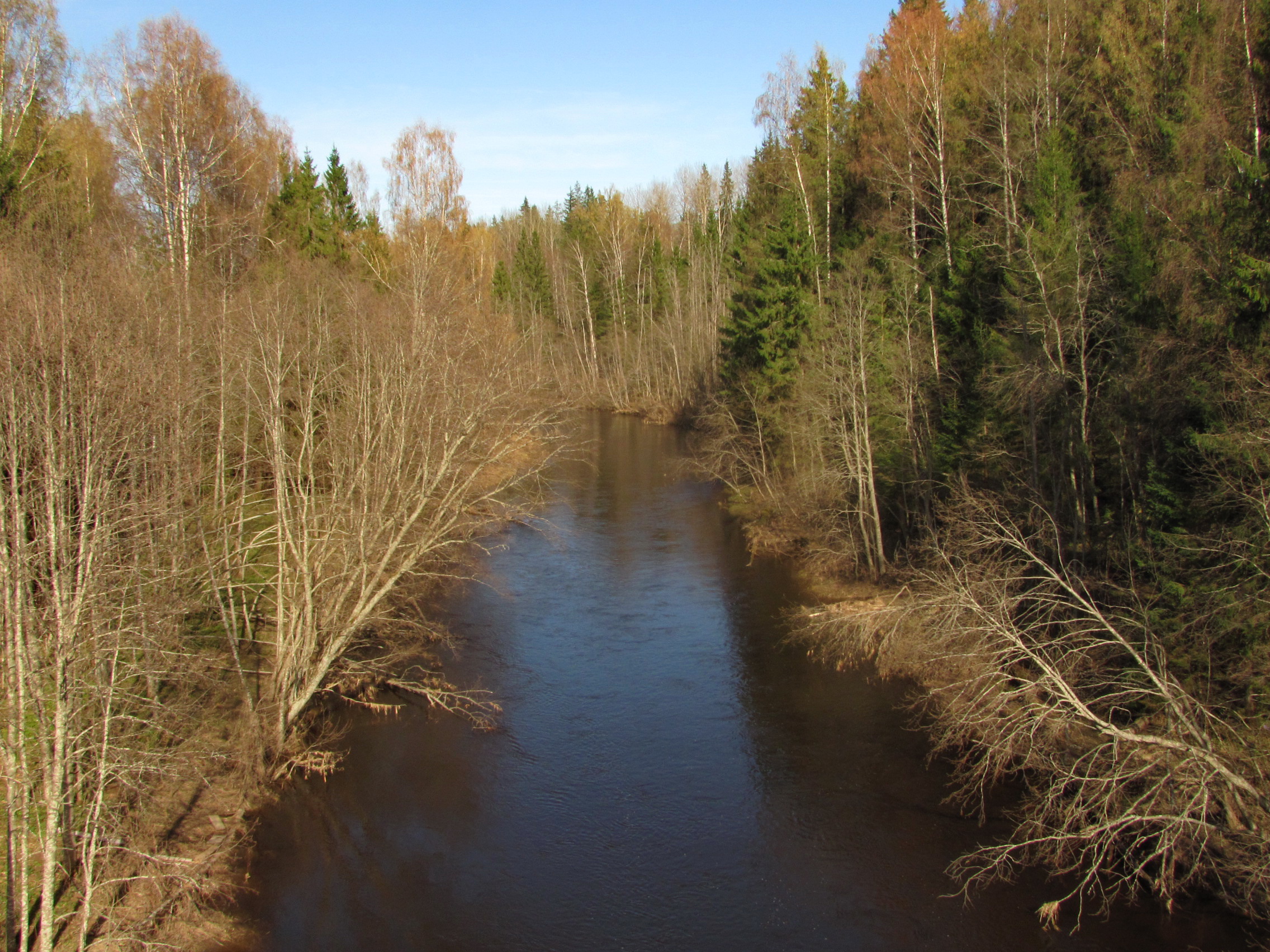 Река малая Коша Тверская область