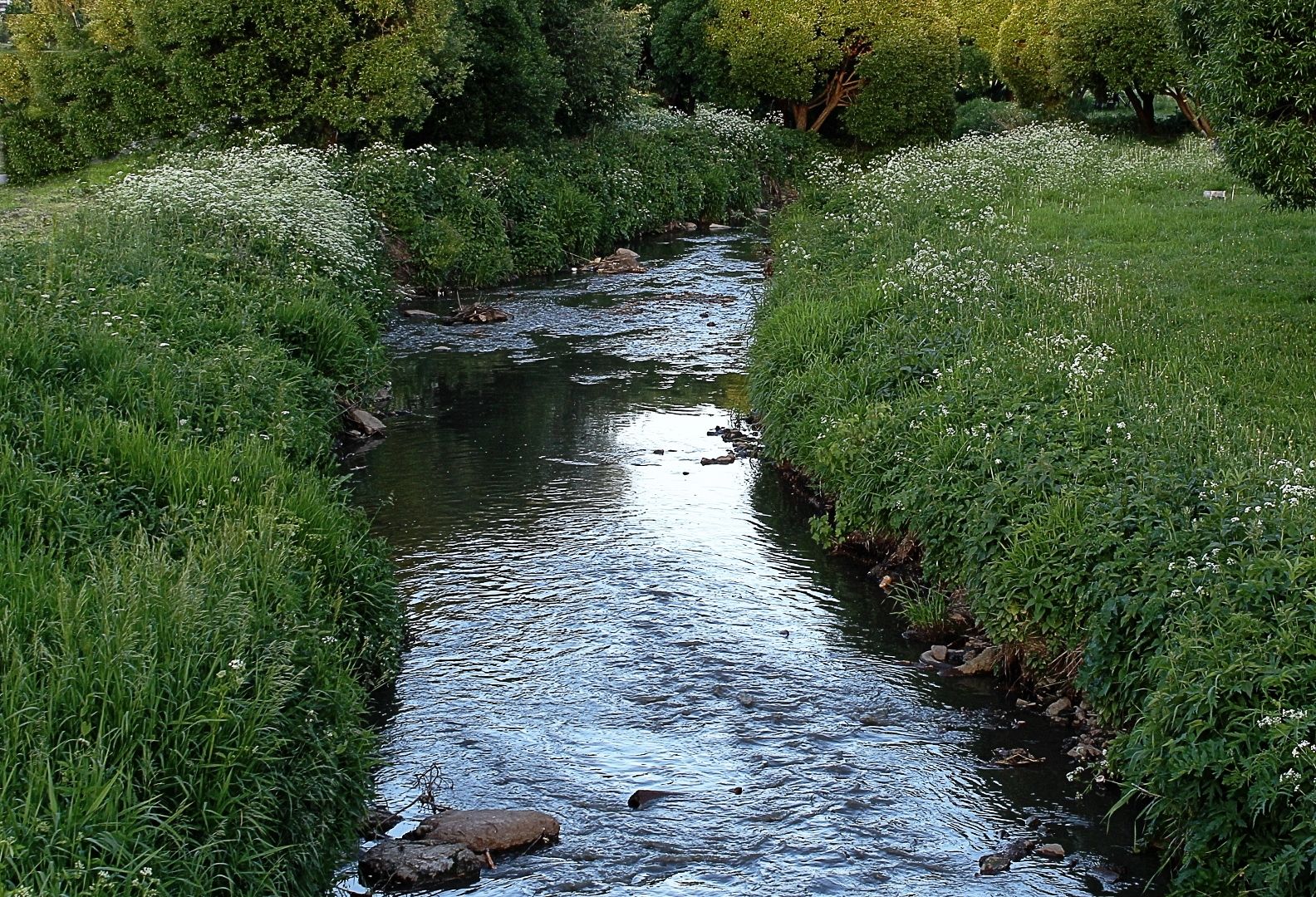 Небольшая река