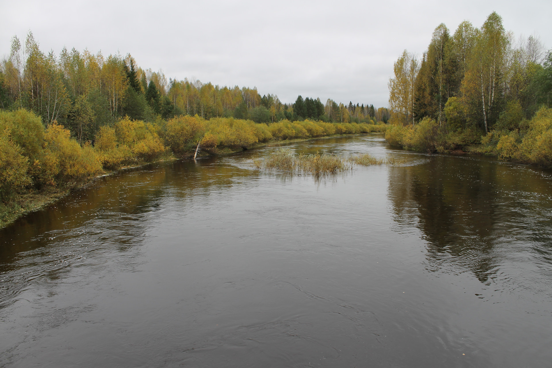 Река Молома Кировская область