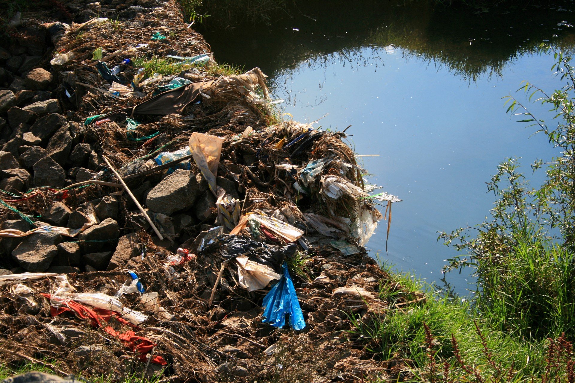 берега рек в мусоре