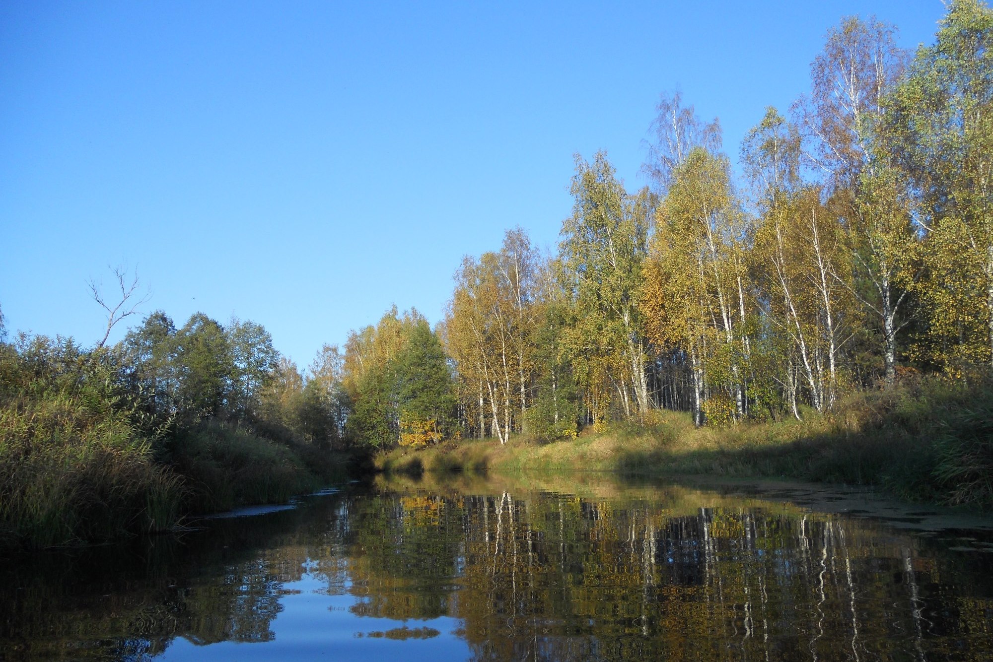 Река нарма Рязанская область