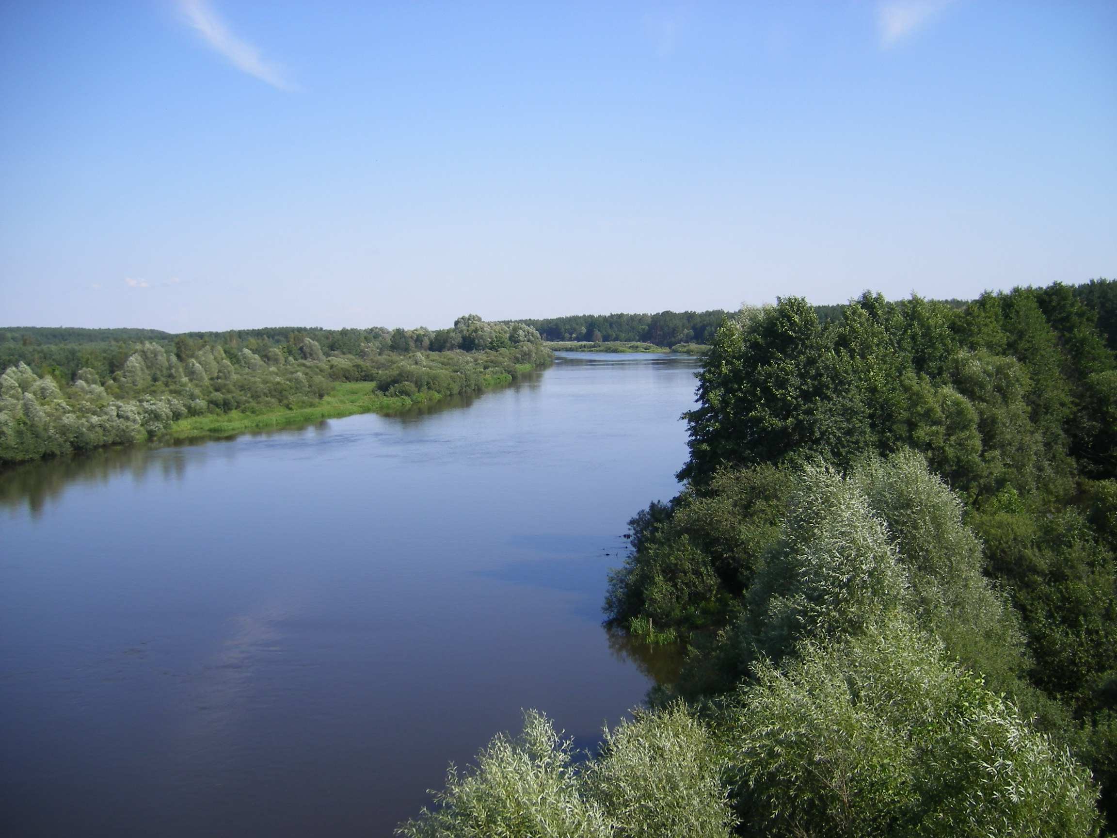Река Ольса