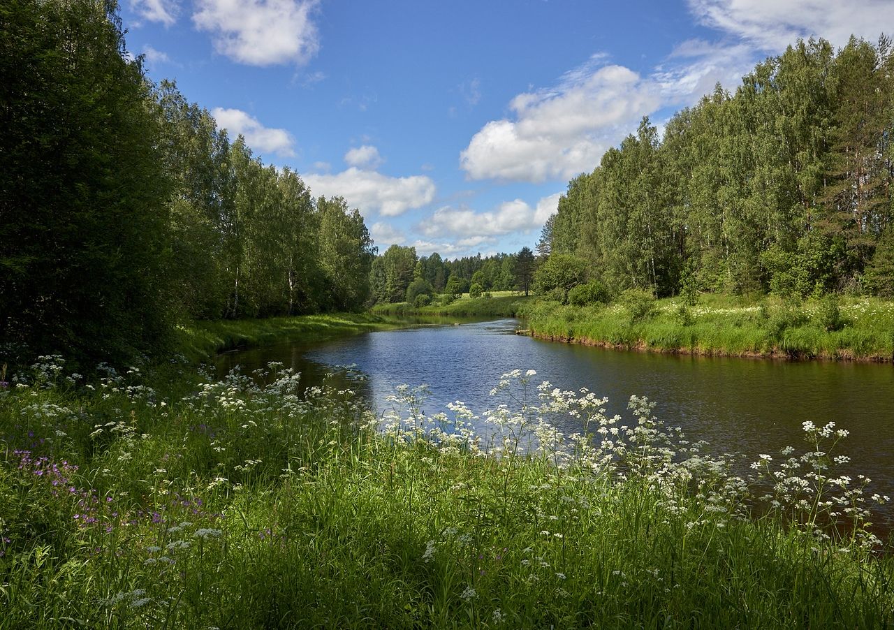 Река Капша Ленинградская область