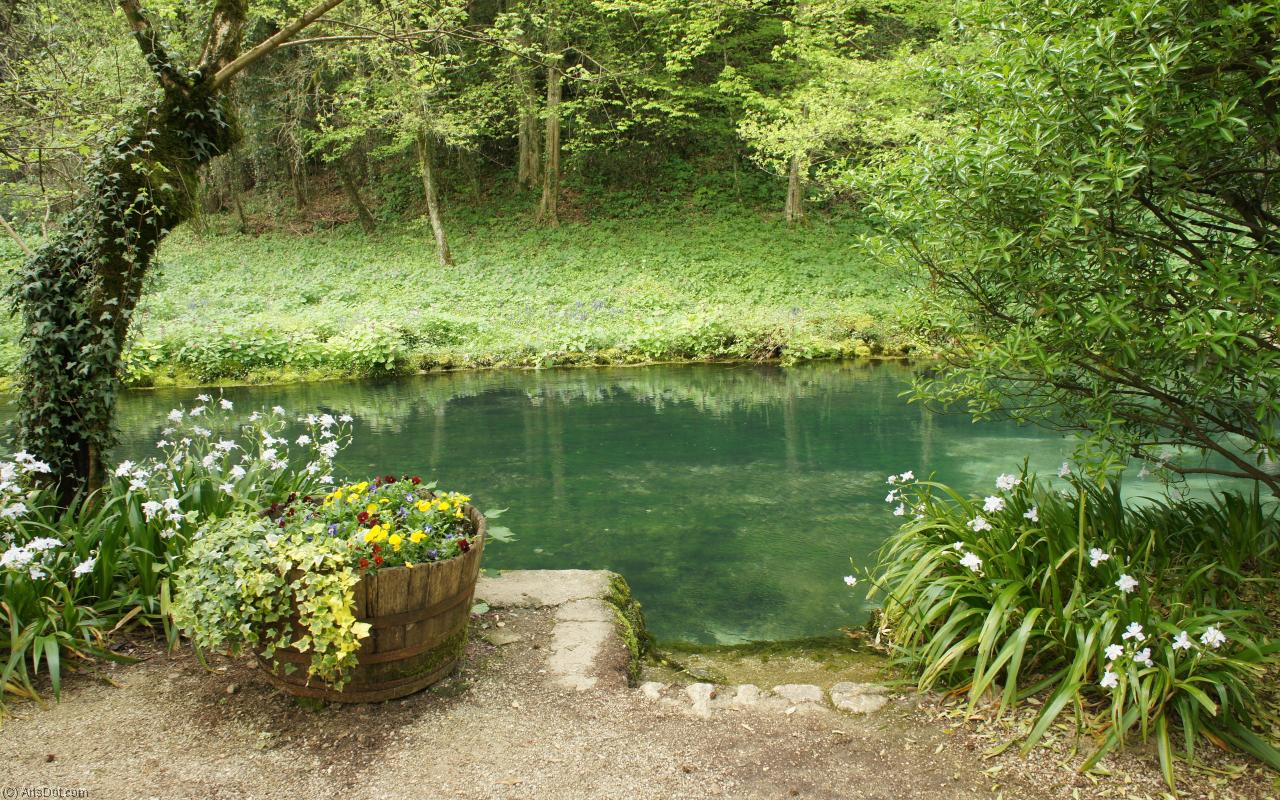Сады реки озера