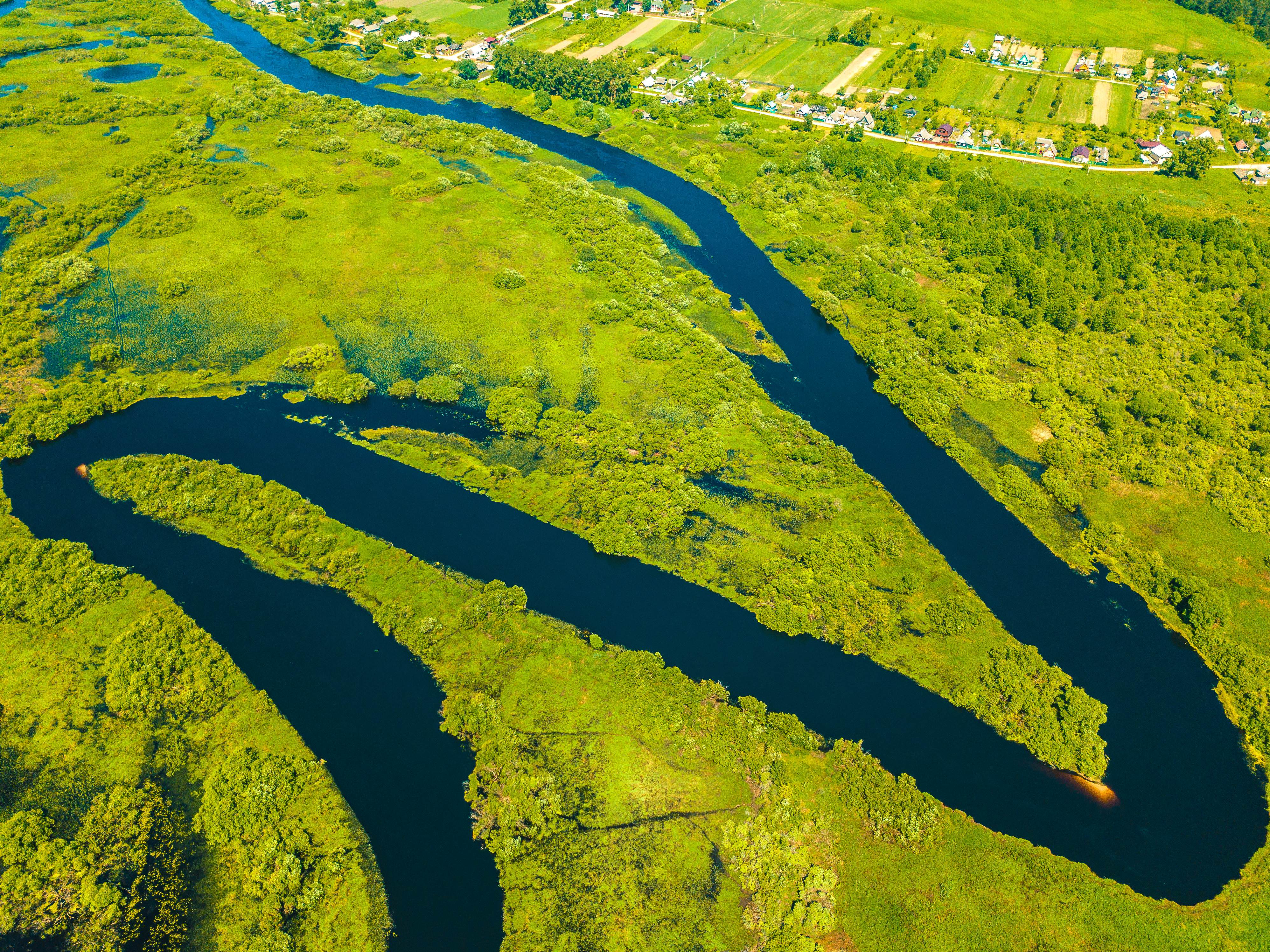 Река Березина Беларусь