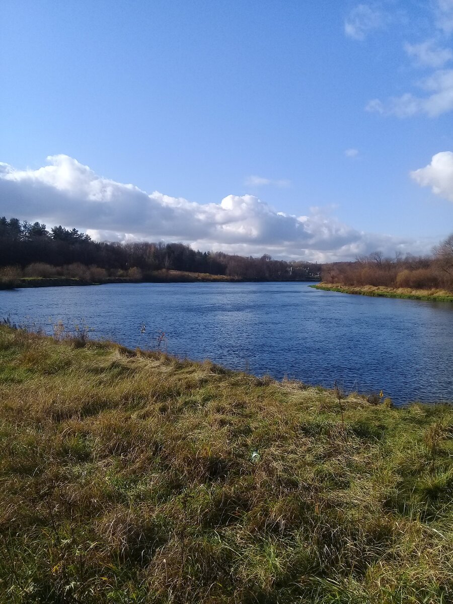 Река Березина Смоленская область