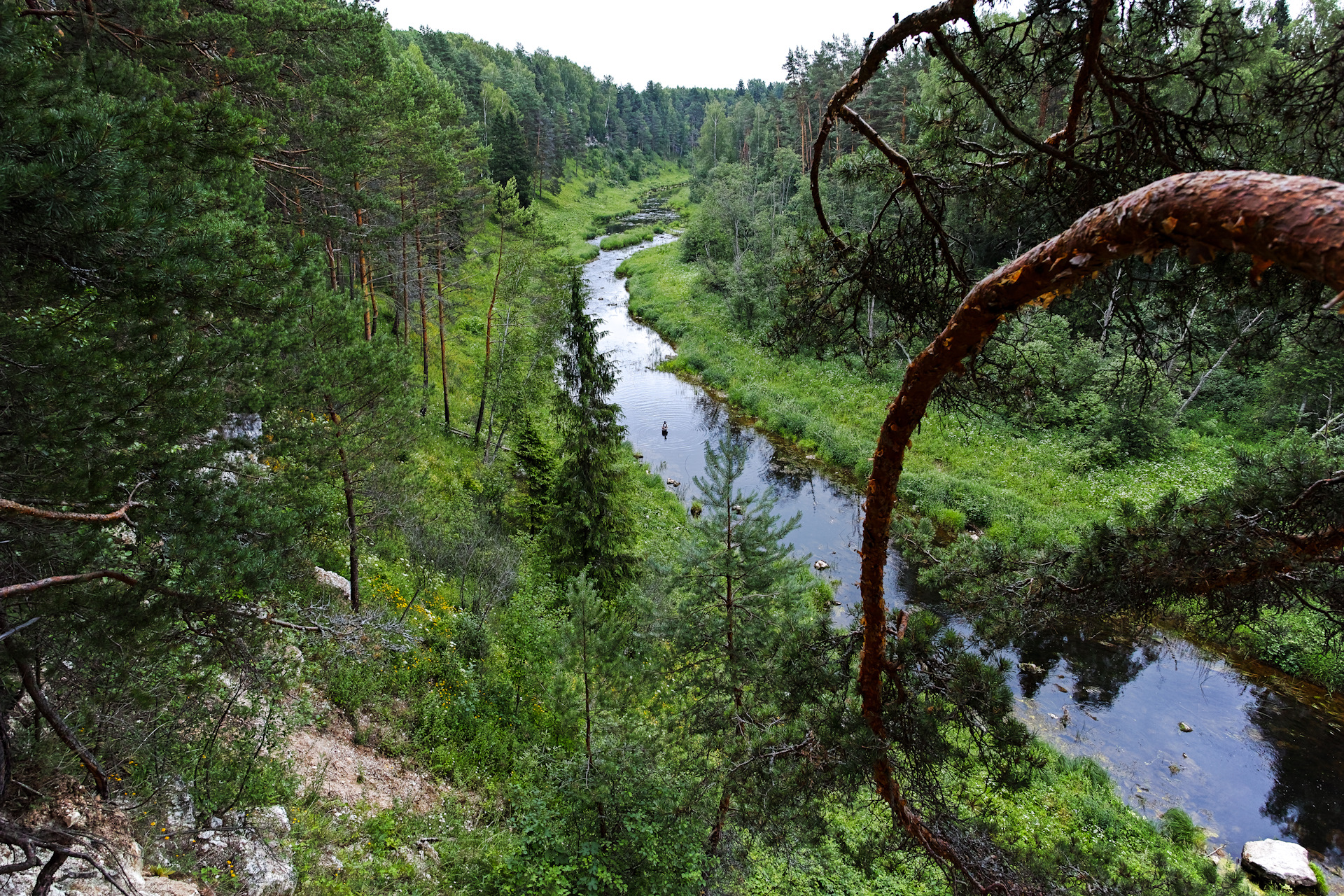 Река держа Зубцовский район