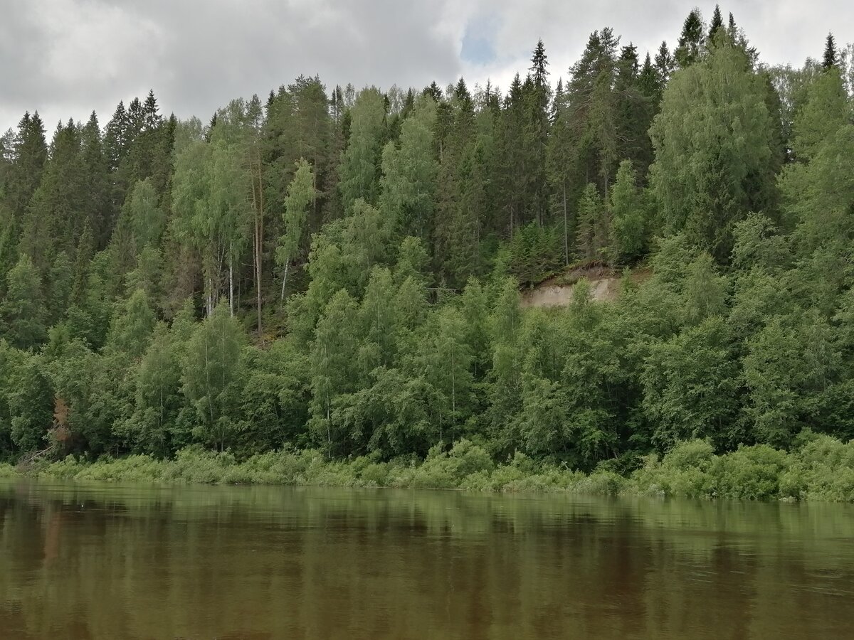 Река Унжа Костромская