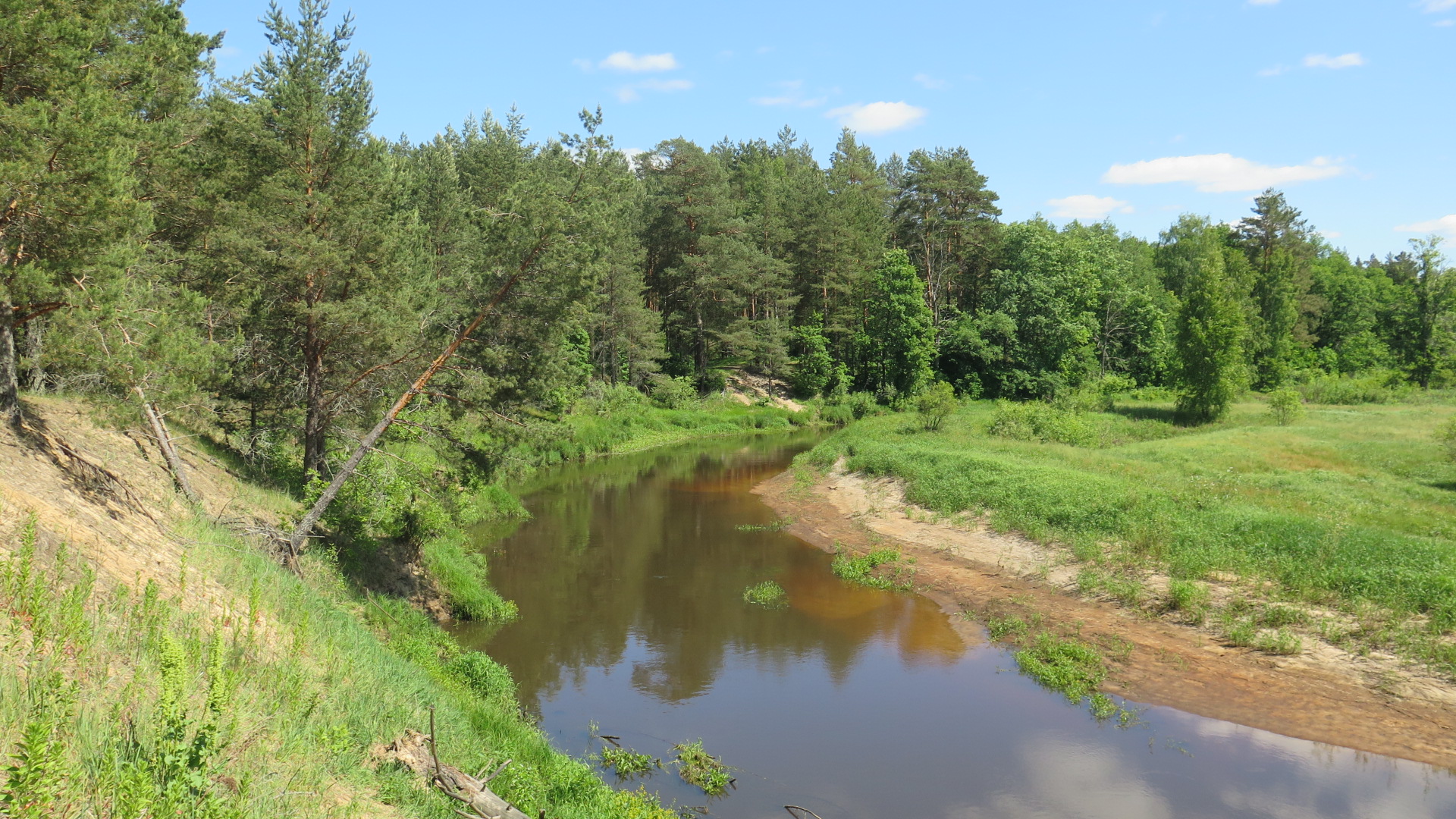 Река Рессета Калужская область