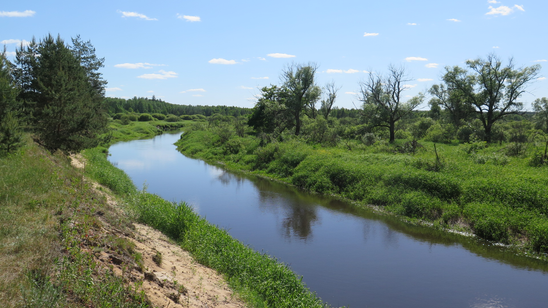 Река Вытебеть Калужская область