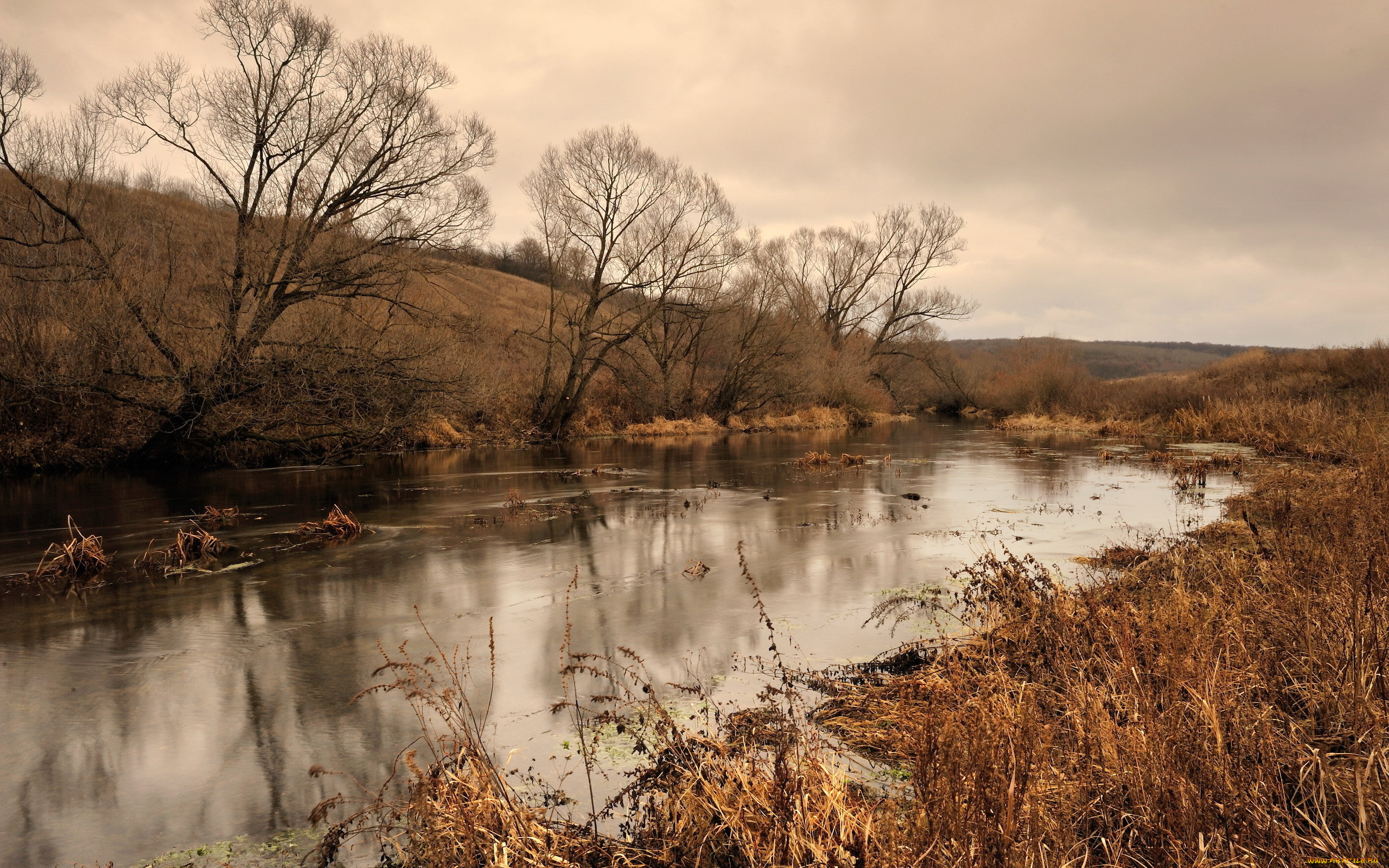 Поздним ненастным вечером геологи. Река Скнига. Река Скнига рыбалка. Поздняя осень речка. Река поздней осенью.