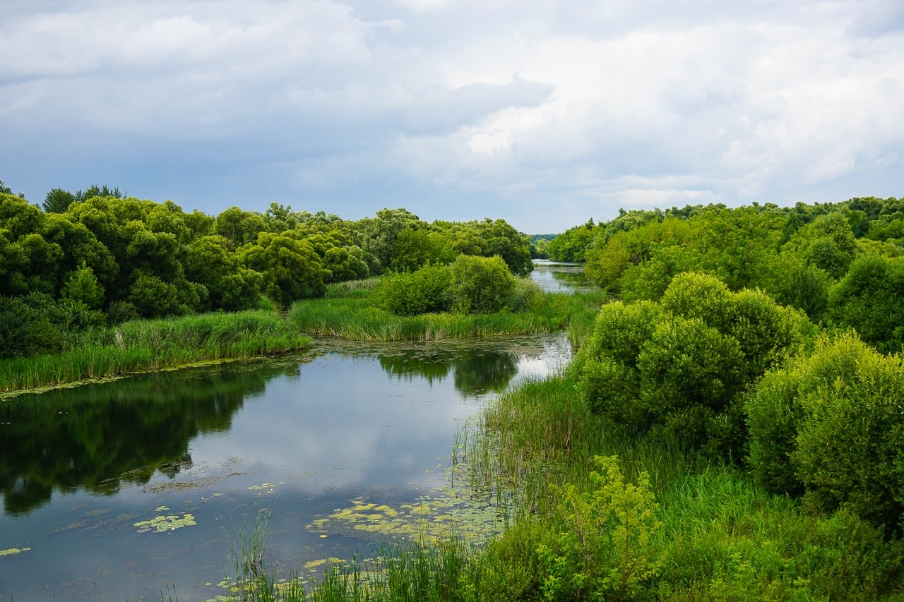 Ранова река Рязанская область