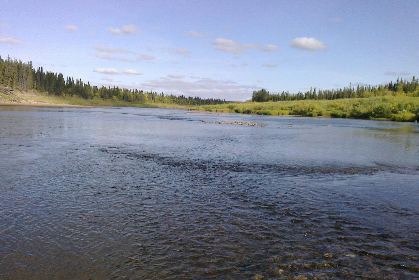 Река лая в Республике Коми