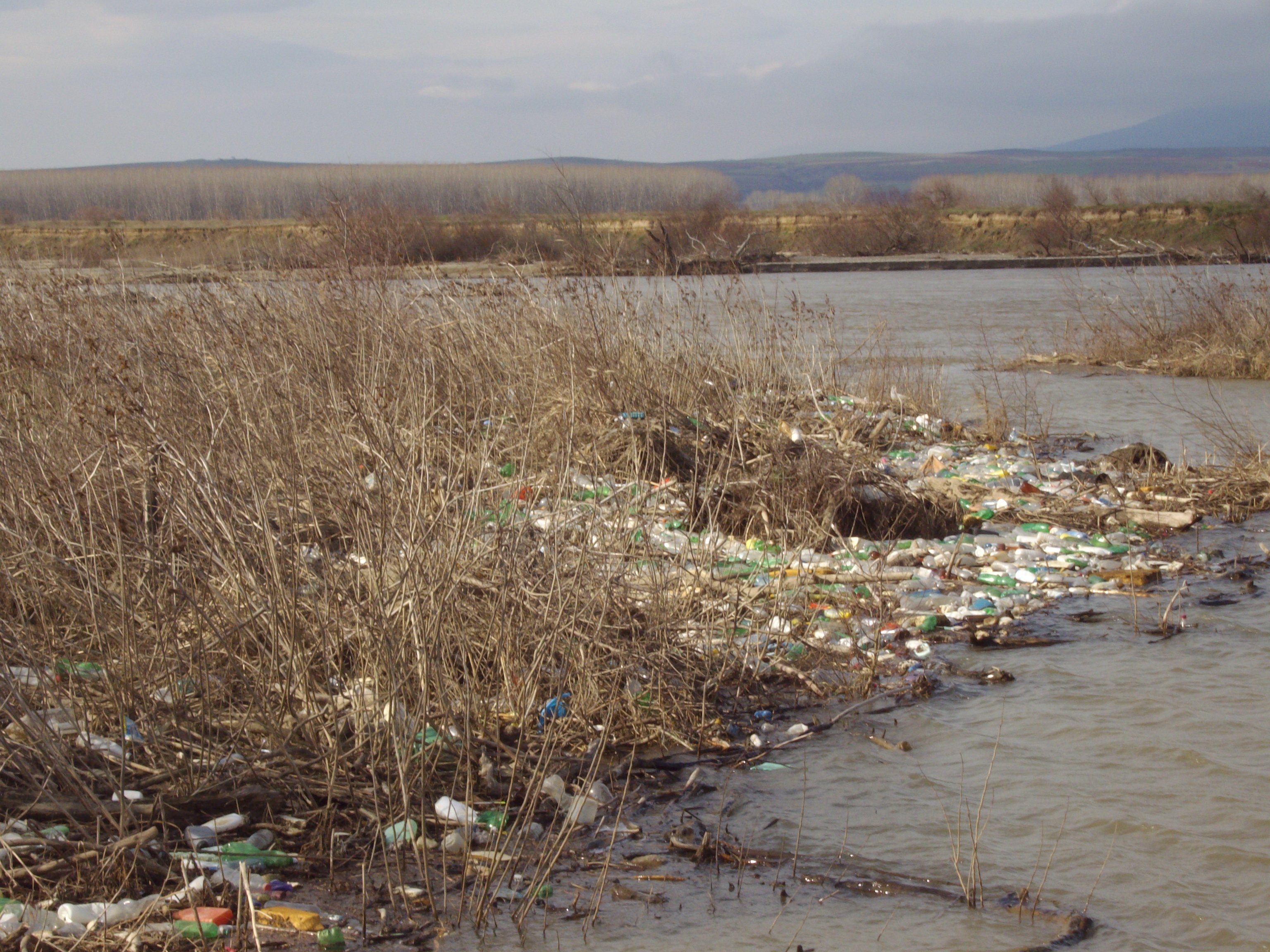 Загрязненные реки и озера россии. Грязная река Иня. Мусор река Иня. Загрязненная Ока. Гора мусора у реки Бусинка.