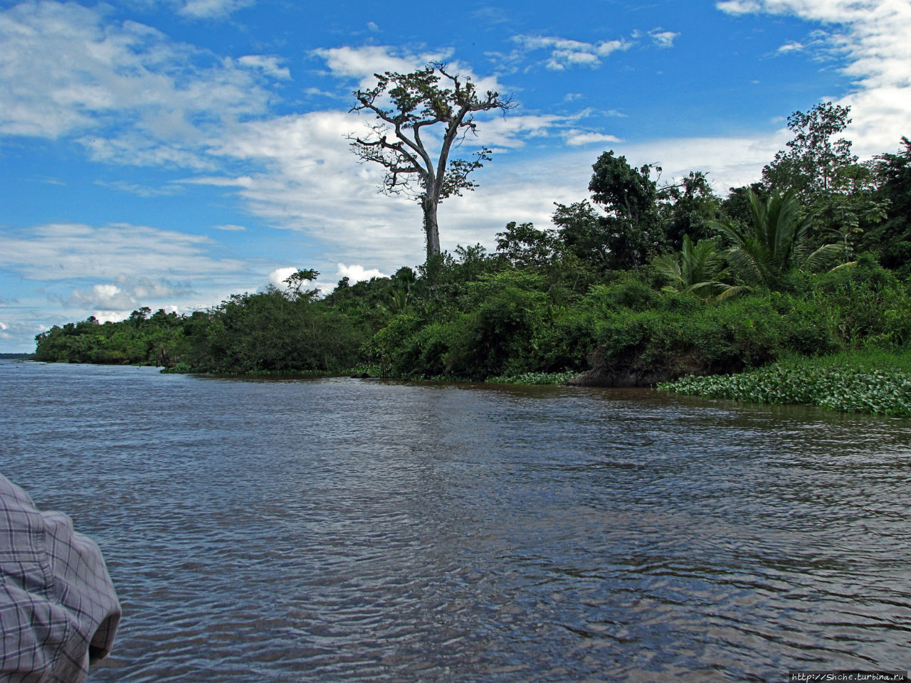 Направление реки ориноко. Дельта Ориноко. Озеро Ориноко. Река Ориноко Южная Америка. Ориноко Венесуэла.