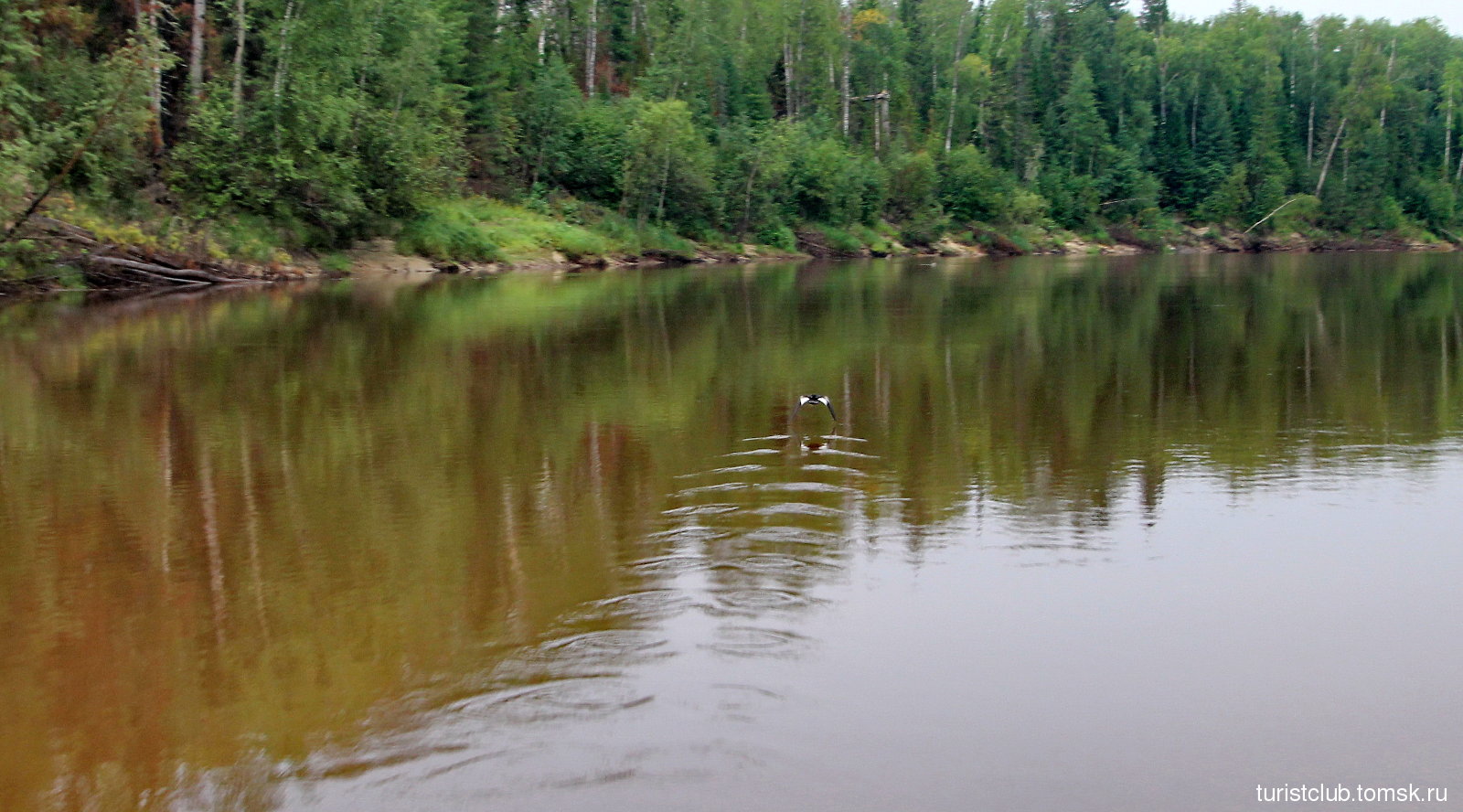 Река Пайдугина