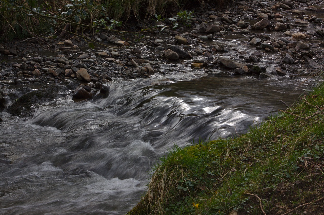 Река грей. Река серая. Ручеёк спокойствия. Реке серый живое фото. Река серая фото.