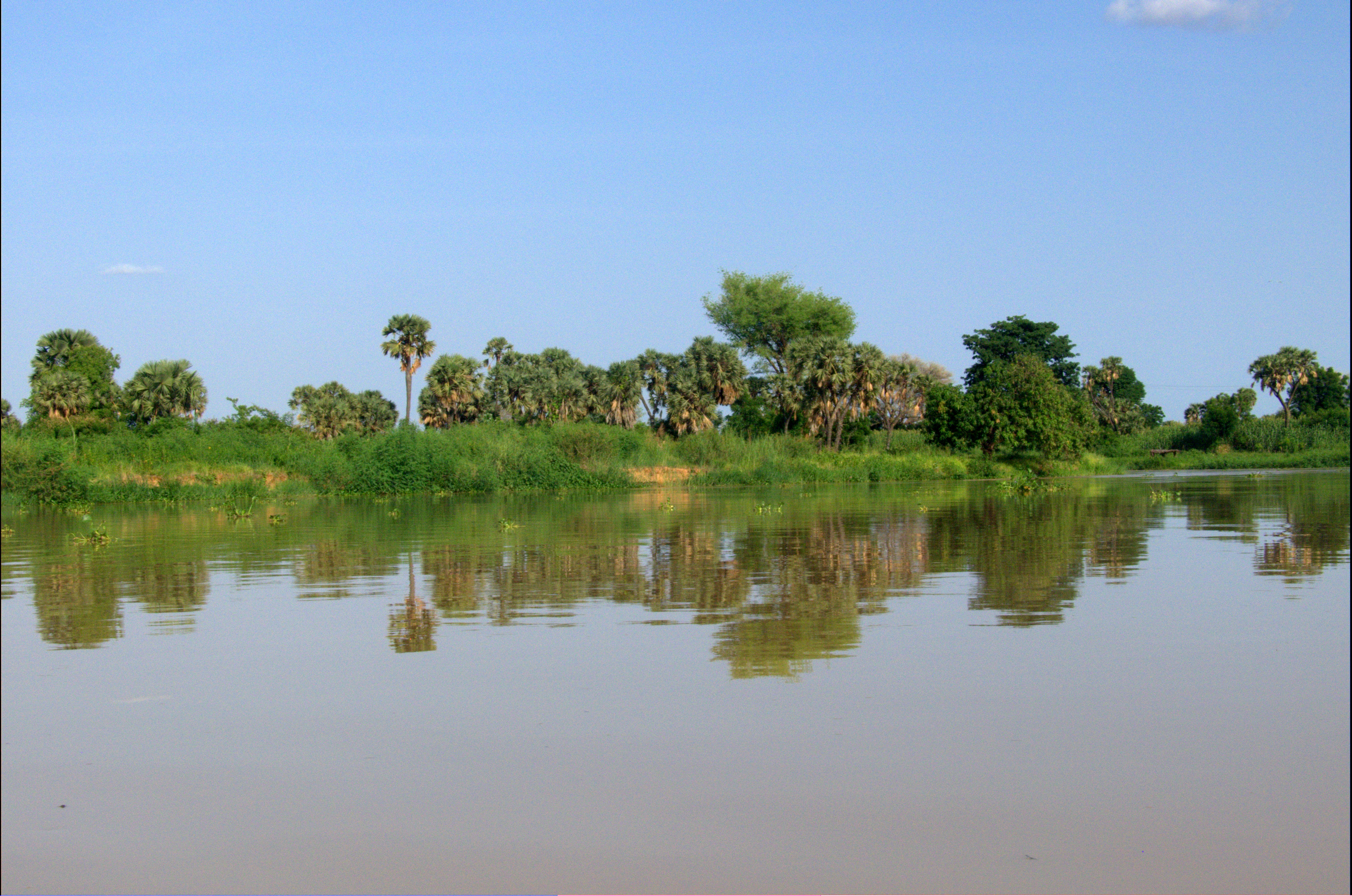 Реки и озера нигерии. Река Бенуэ. Река Бенуэ Камерун. Река нигер. Ниамей.