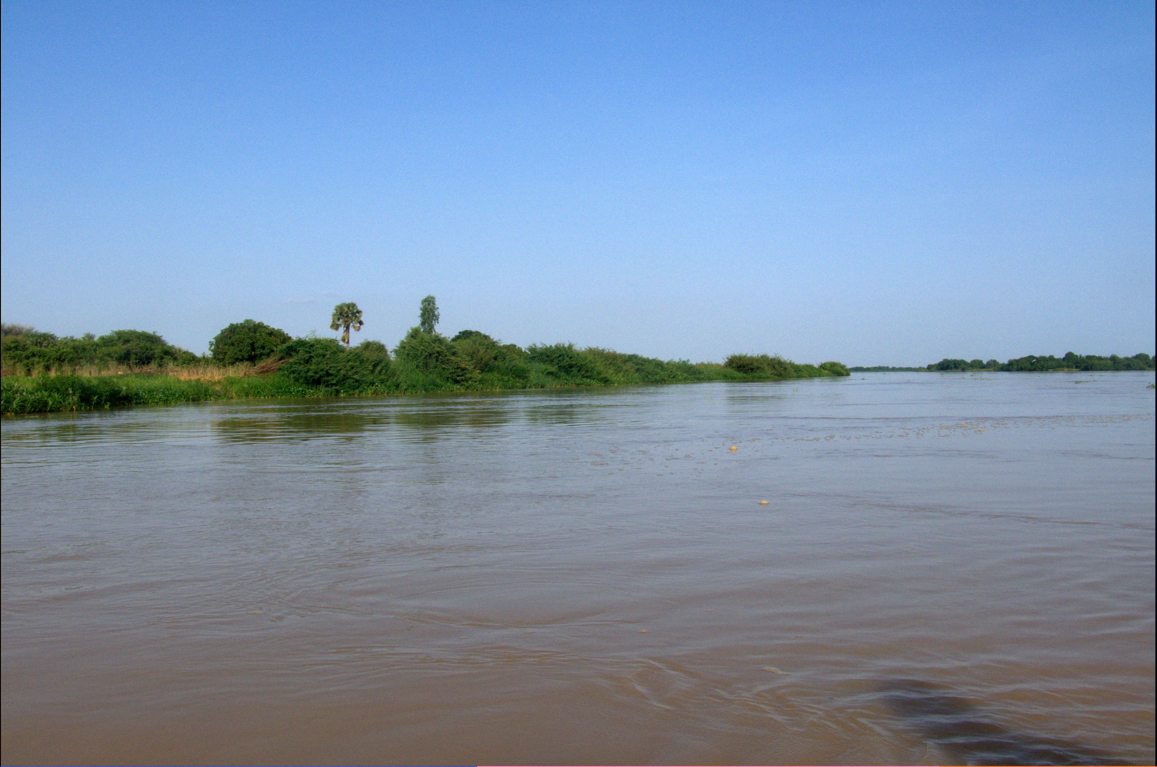 Реки и озера нигерии. Излучина реки нигер. Река Бенуэ. Река нигер в Африке. Река нигер в Нигерии.