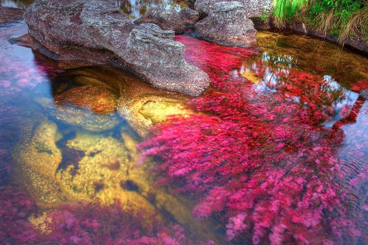 цветная река в колумбии