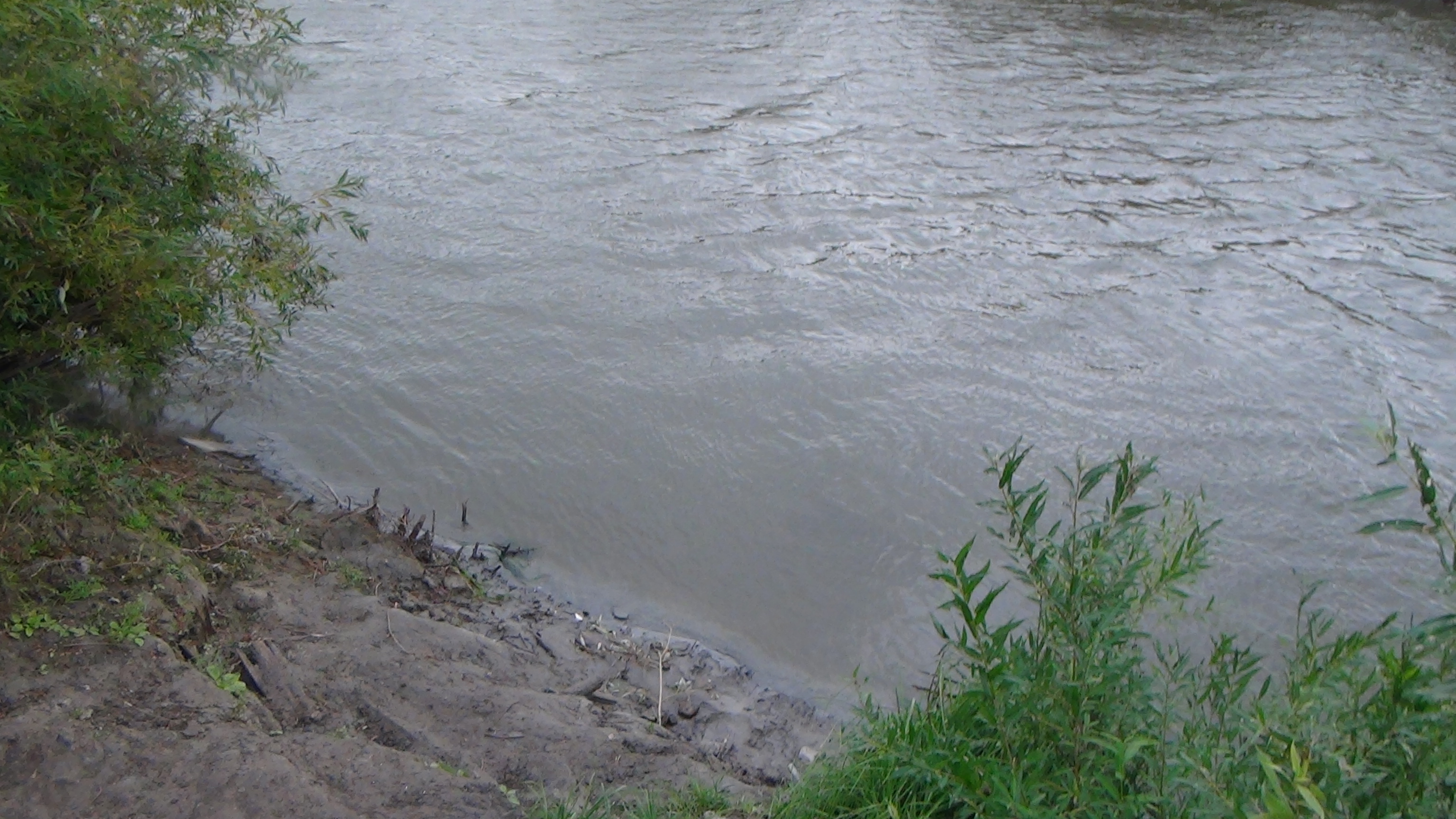 Река тобол коркино. Река Тобол Курган. Озеро Тобол Кушлы. Тоболтура река Тобол. Река Тобол Ялуторовск.