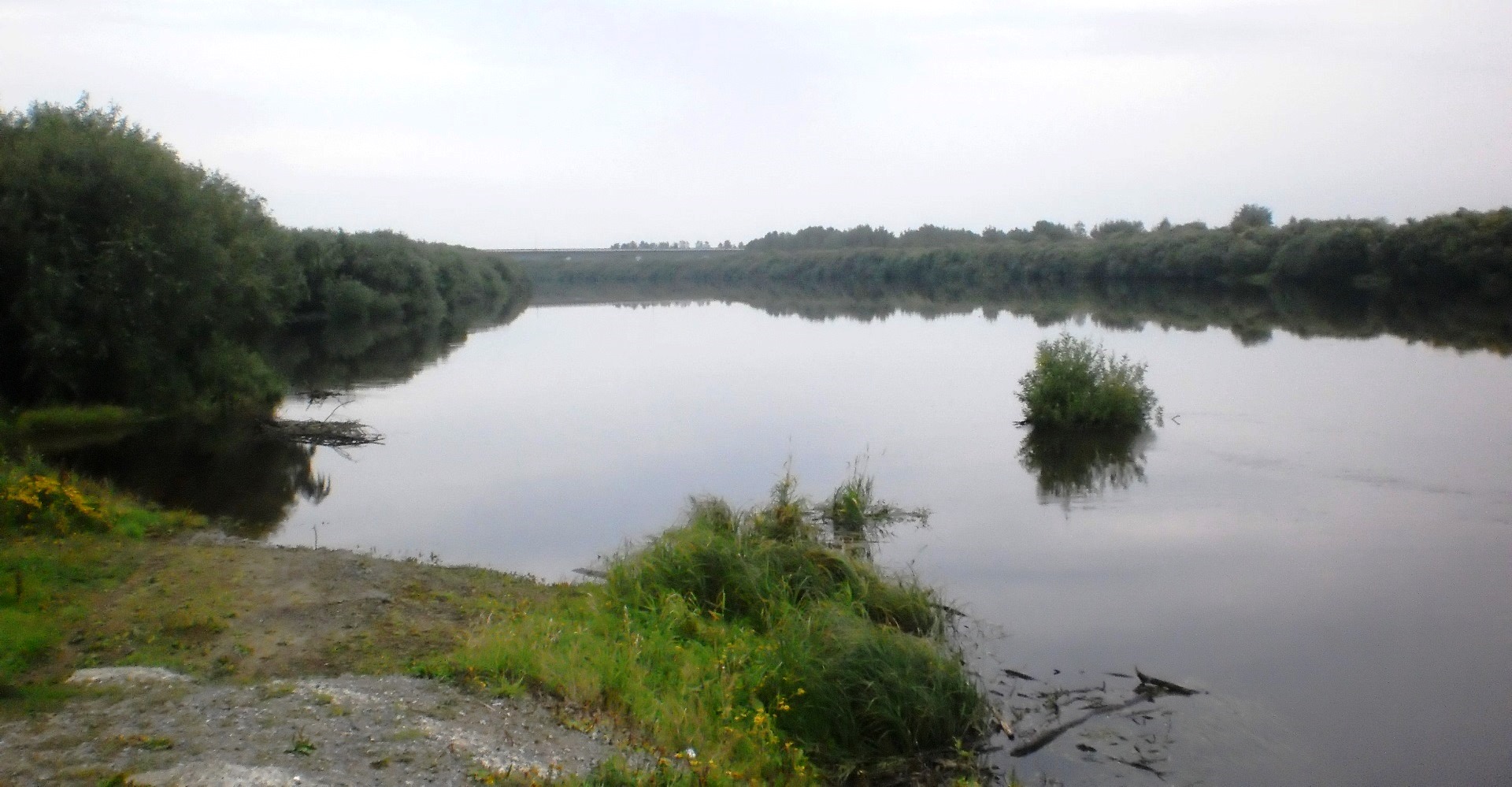 Уровень воды в реке тавда свердловской области