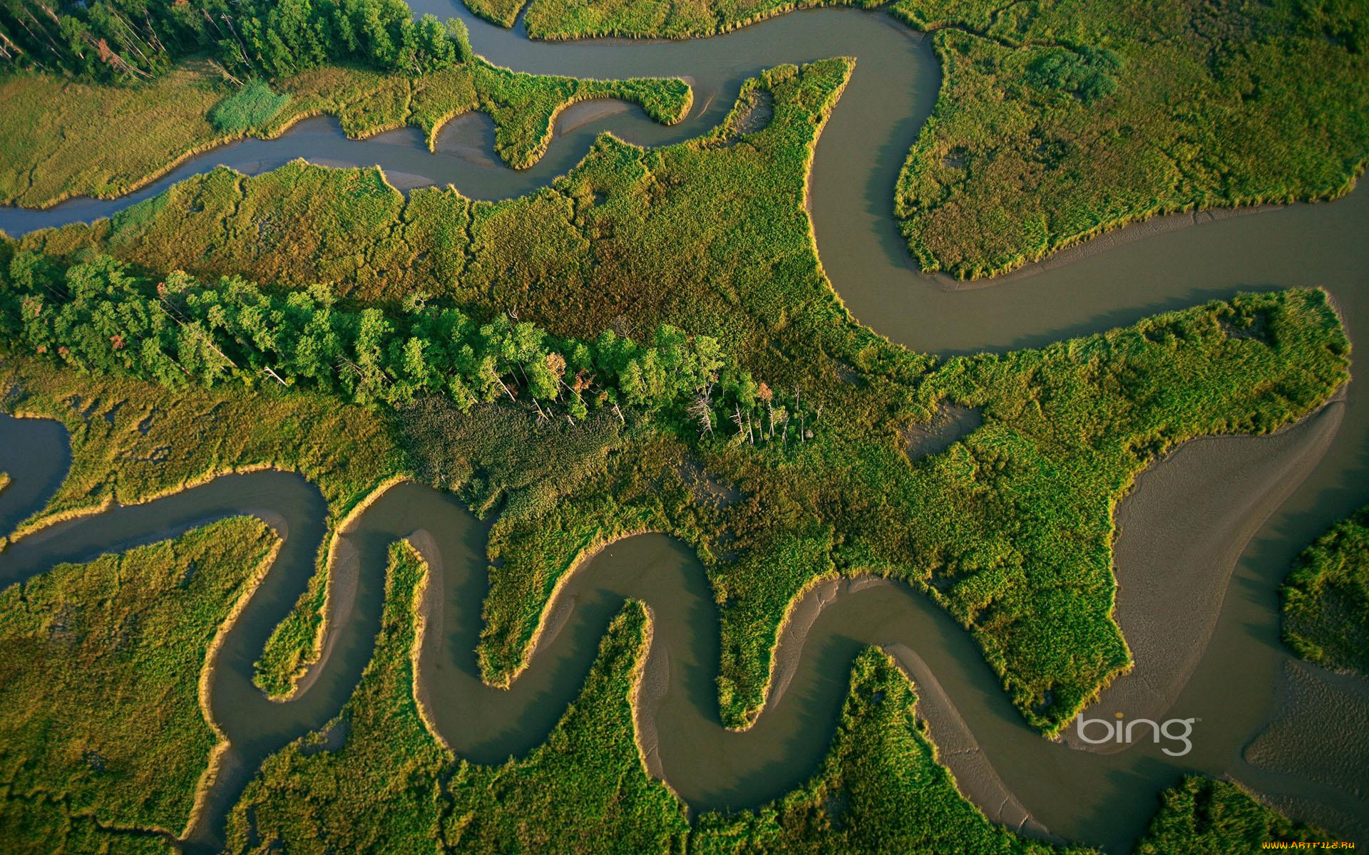 Самая северная река в мире. Меандры амазонки. Устье реки амазонки из космоса. Меандры реки. Амазонка река речное русло.
