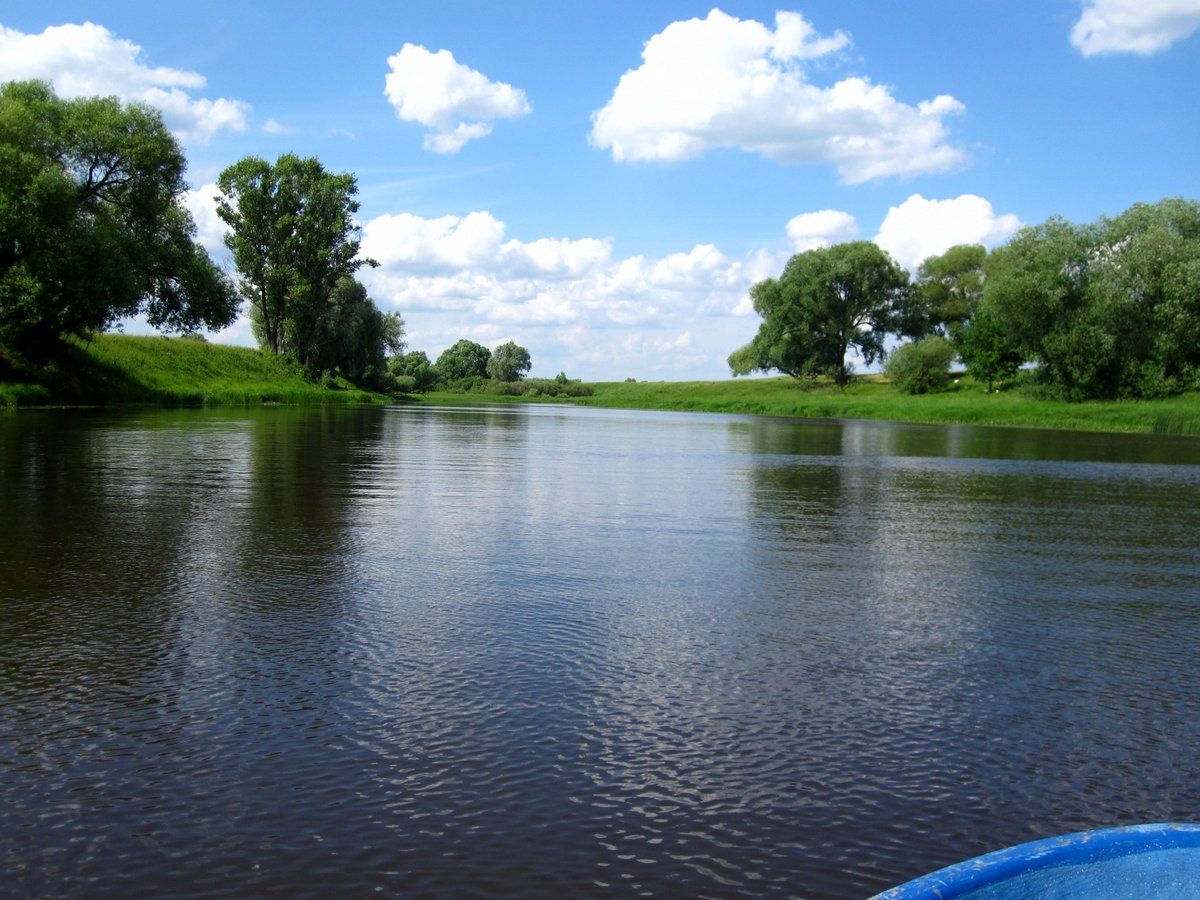 Река Солотча Рязань