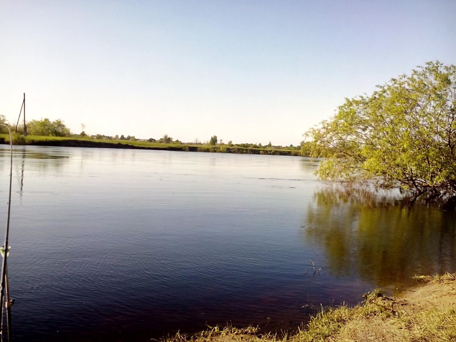 Рыбалка на реке Ипуть Брянская область видео