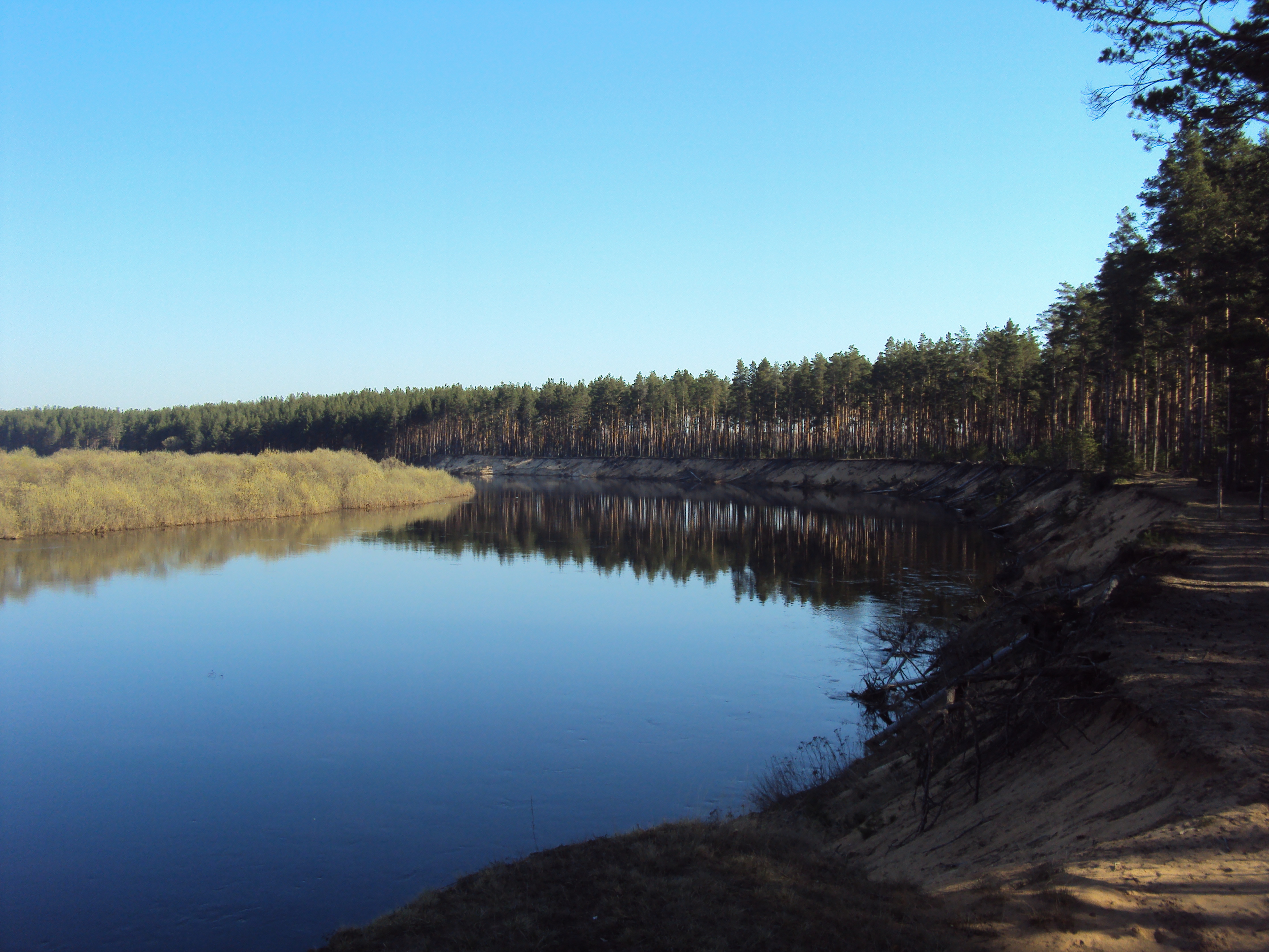 Река Молога Весьегонск