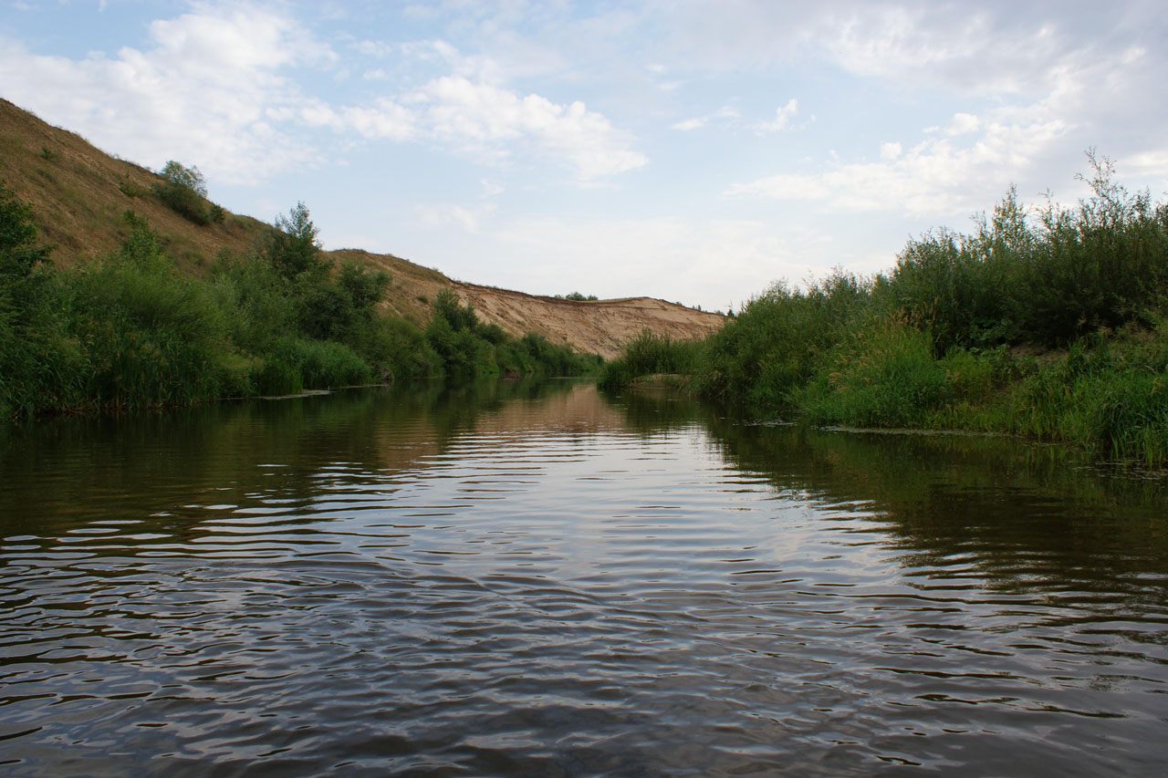 Река медведица в волгоградской области