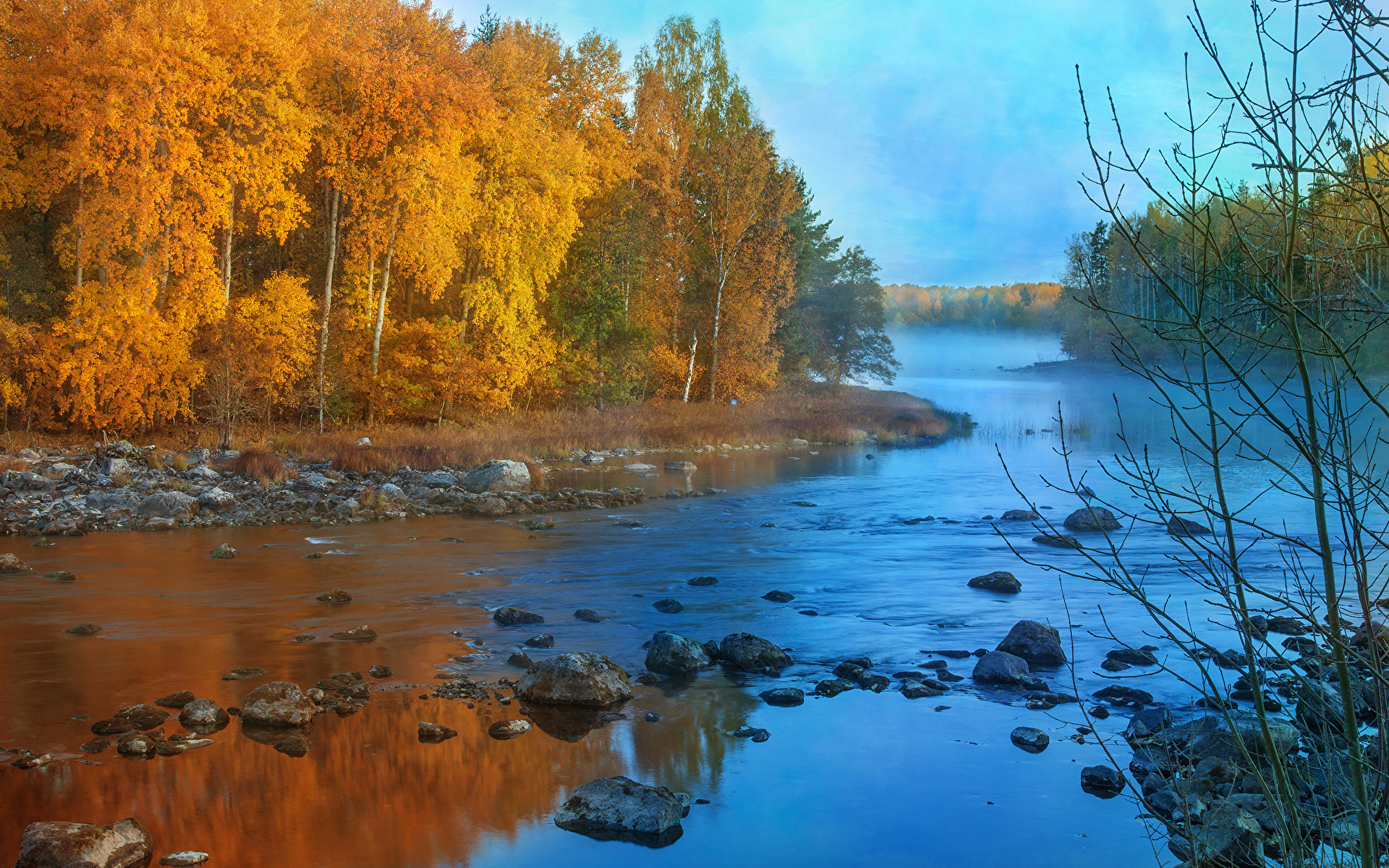 осень лес река