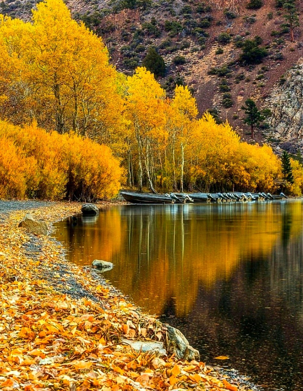 Река осенью