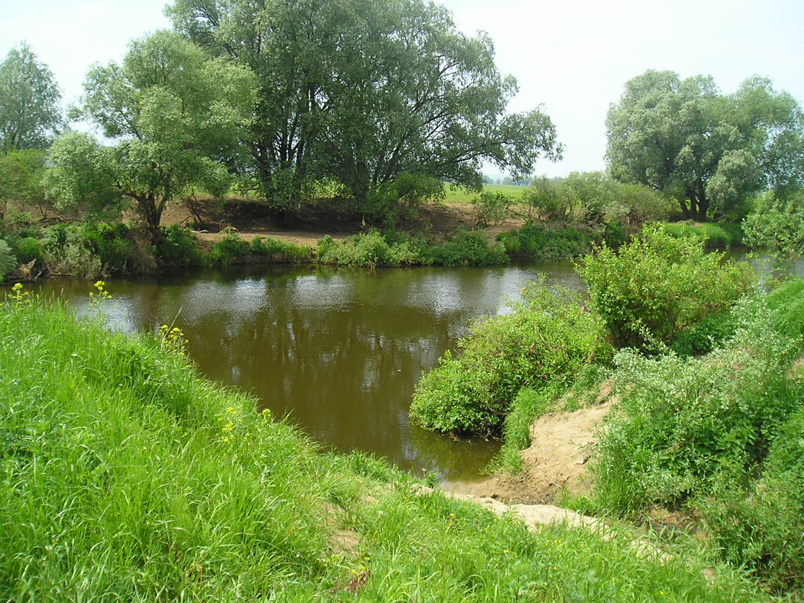Река протва калужская область