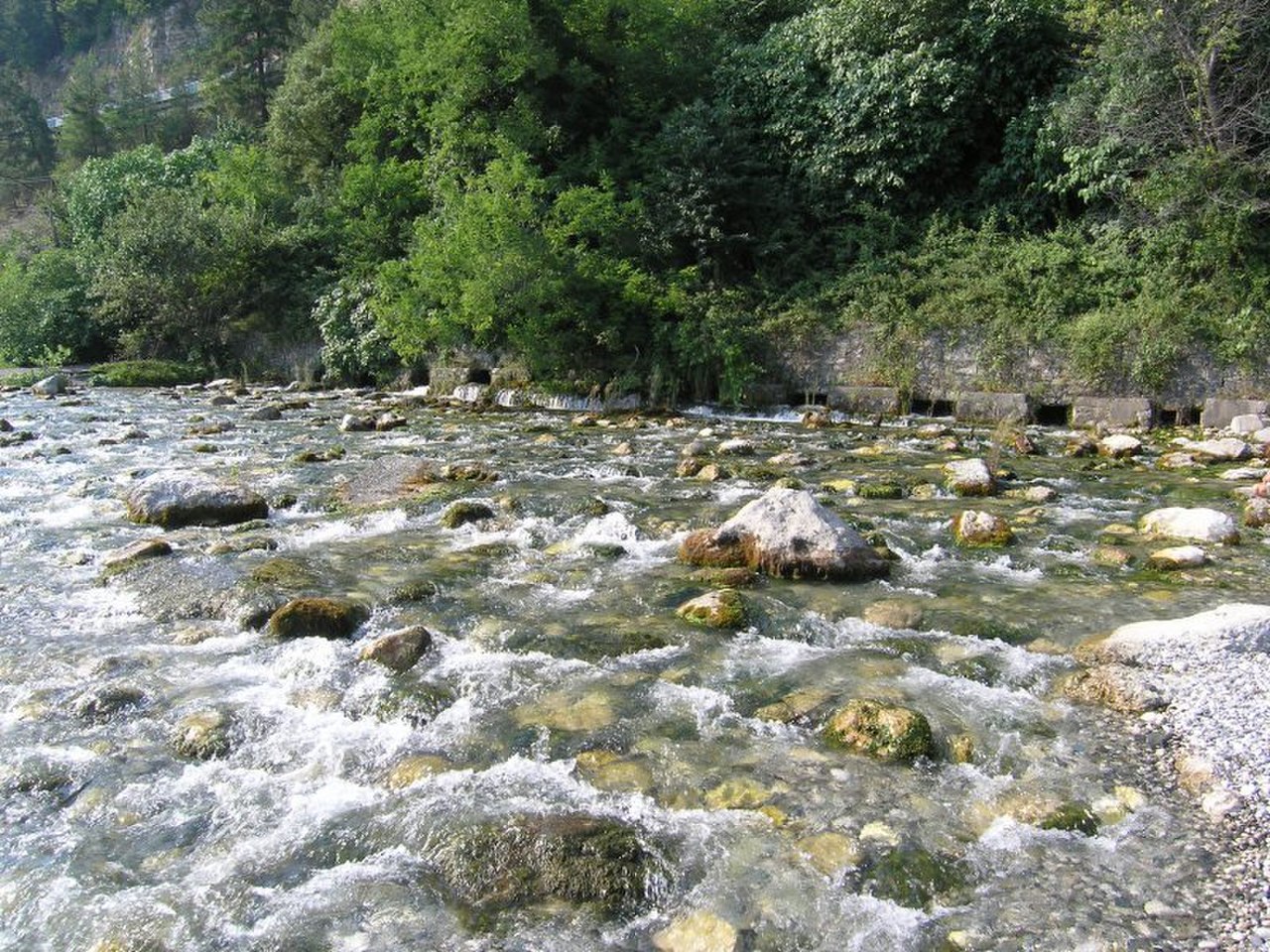 Первая река в мире. Река Репруа. Река Репруа в Абхазии. Река Репруа Гагра. Река Репруа самая короткая в мире.