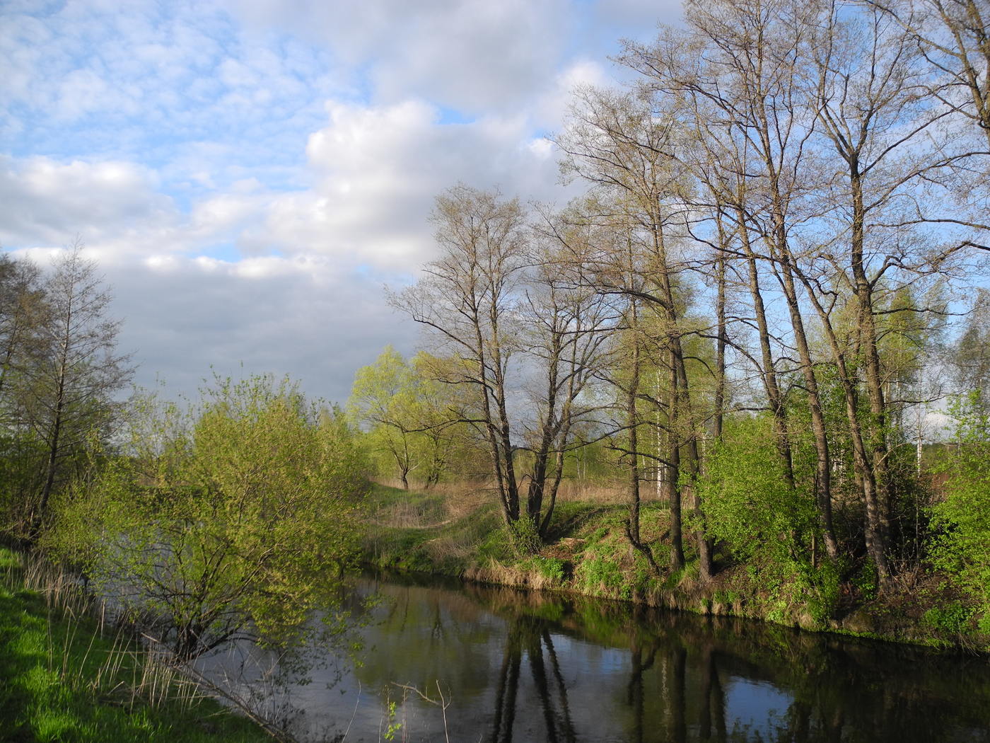 Река Весна май