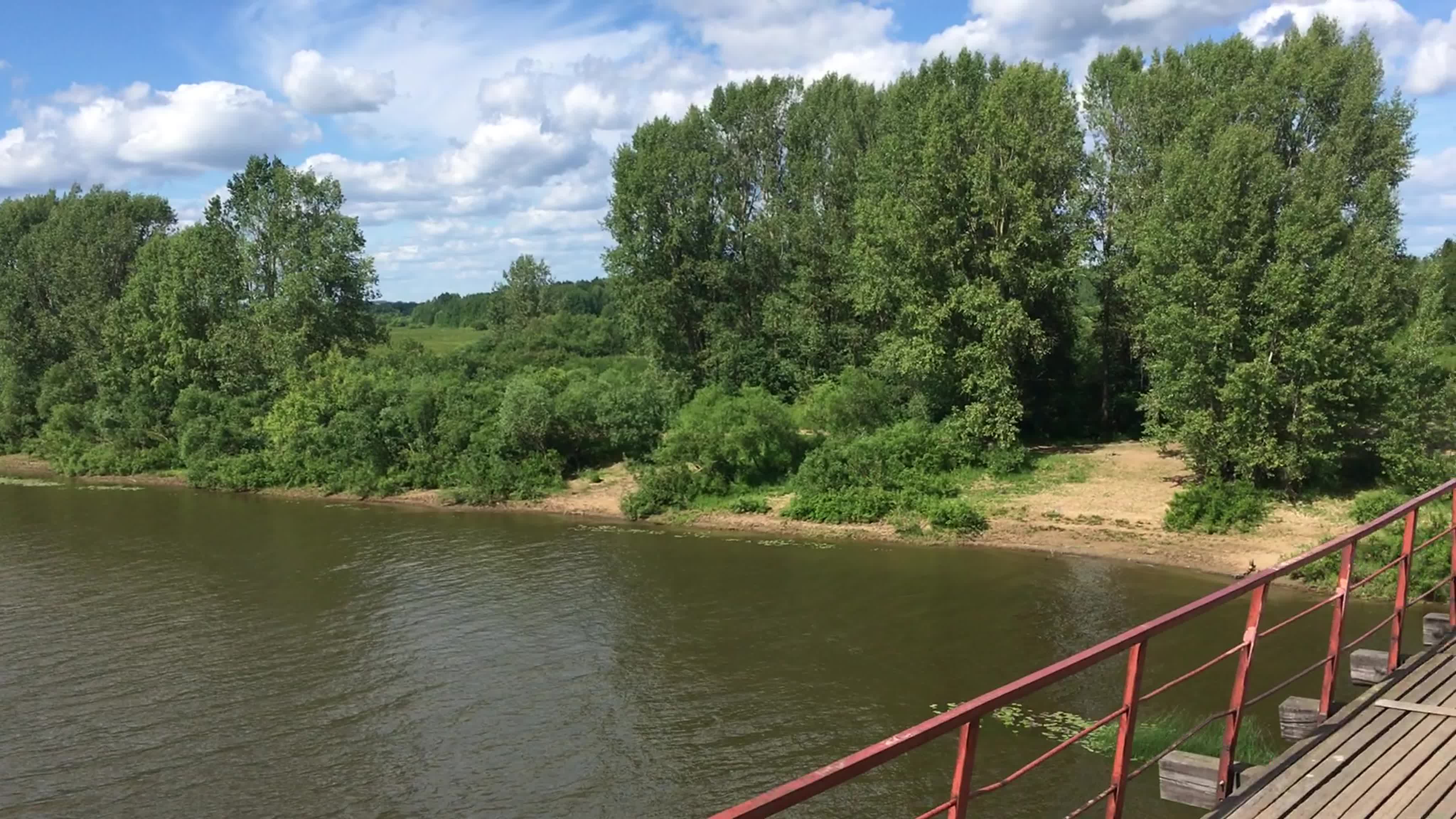 Река Чепца Кировская область