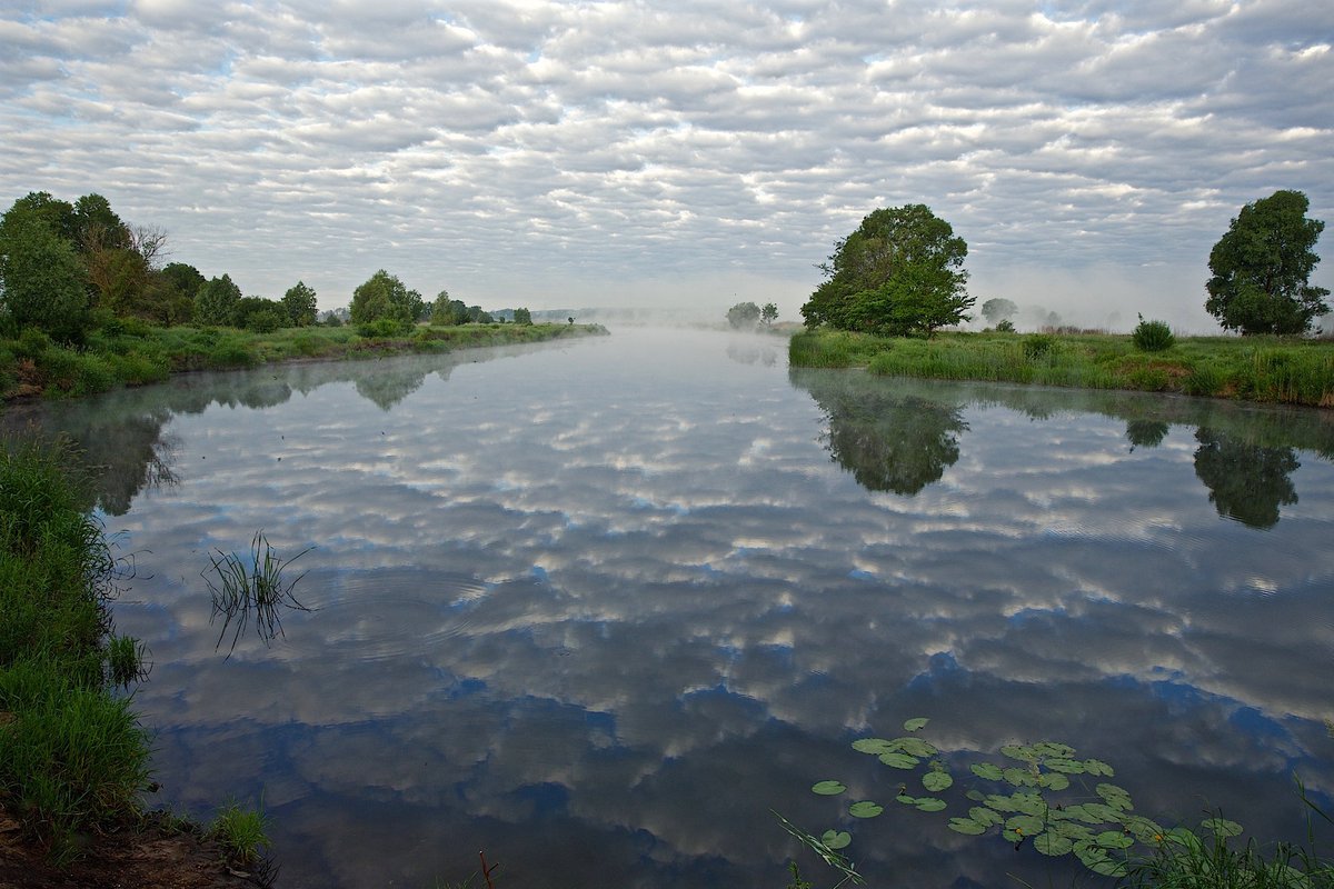 Воронеж река воронеж